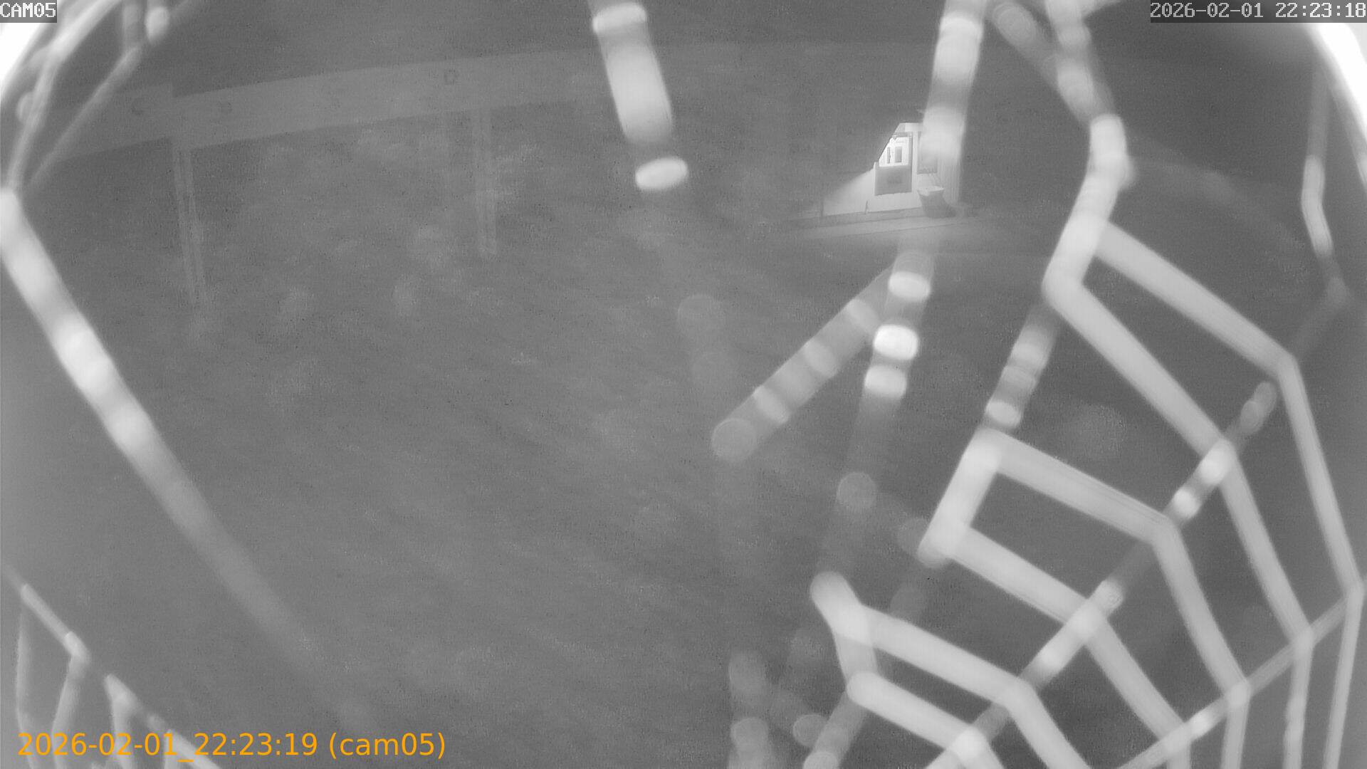 thumbnail_20260201222319