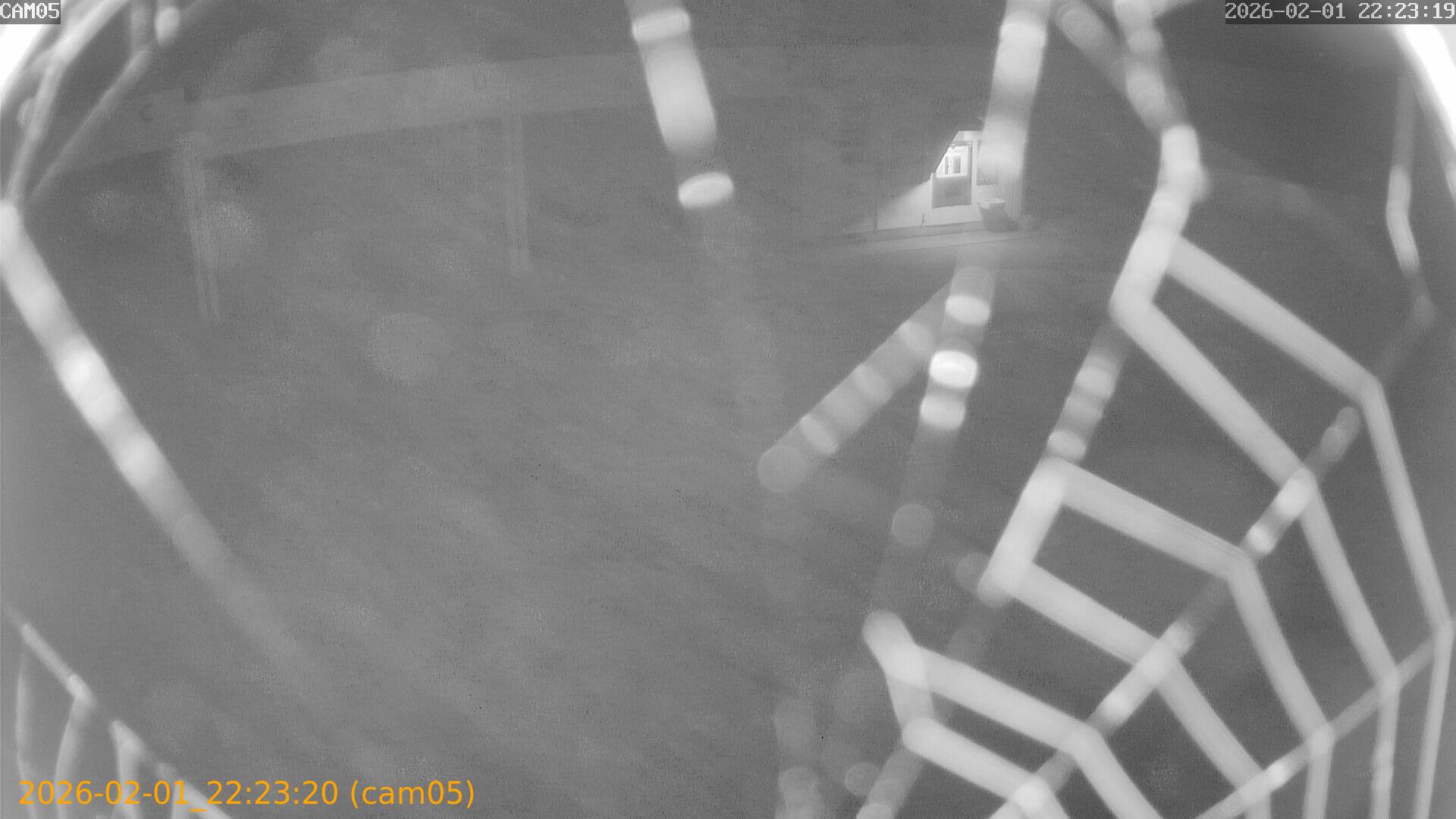 thumbnail_20260201222320