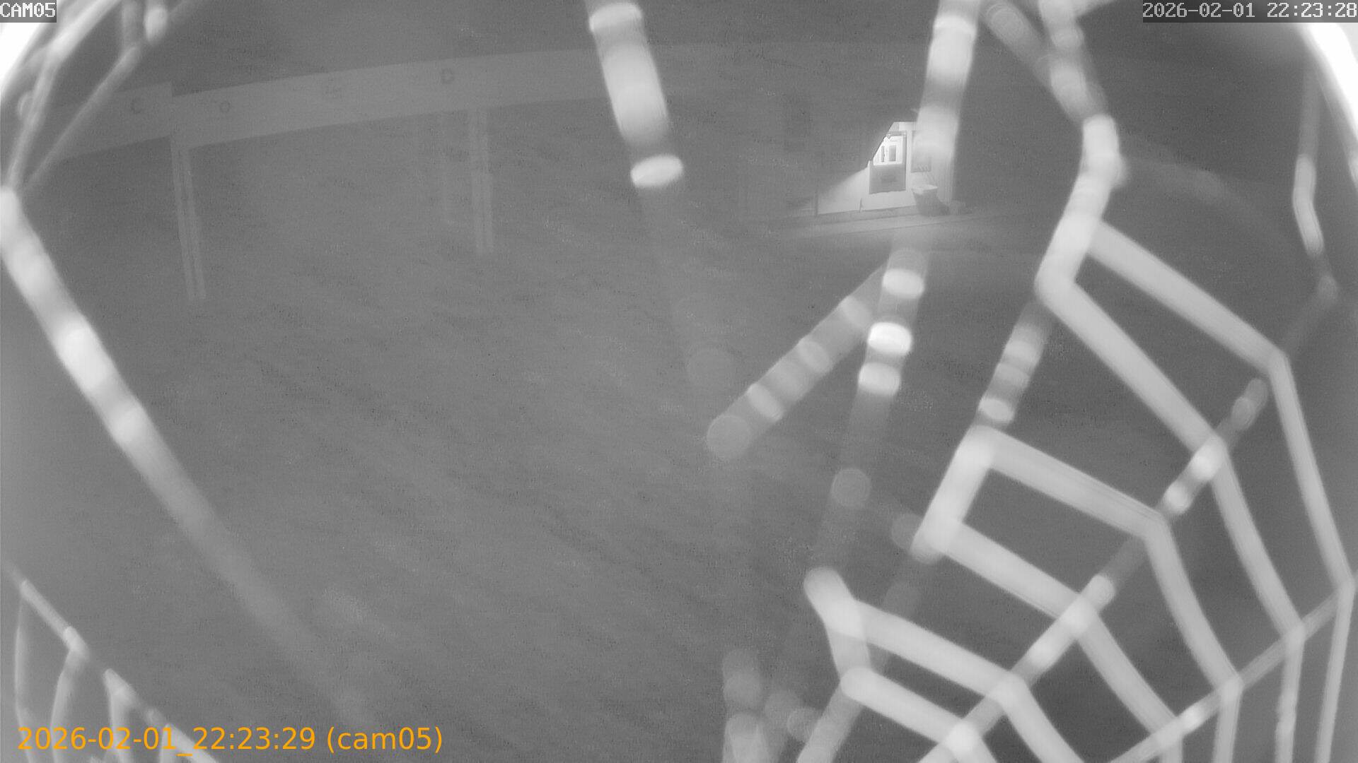 thumbnail_20260201222329