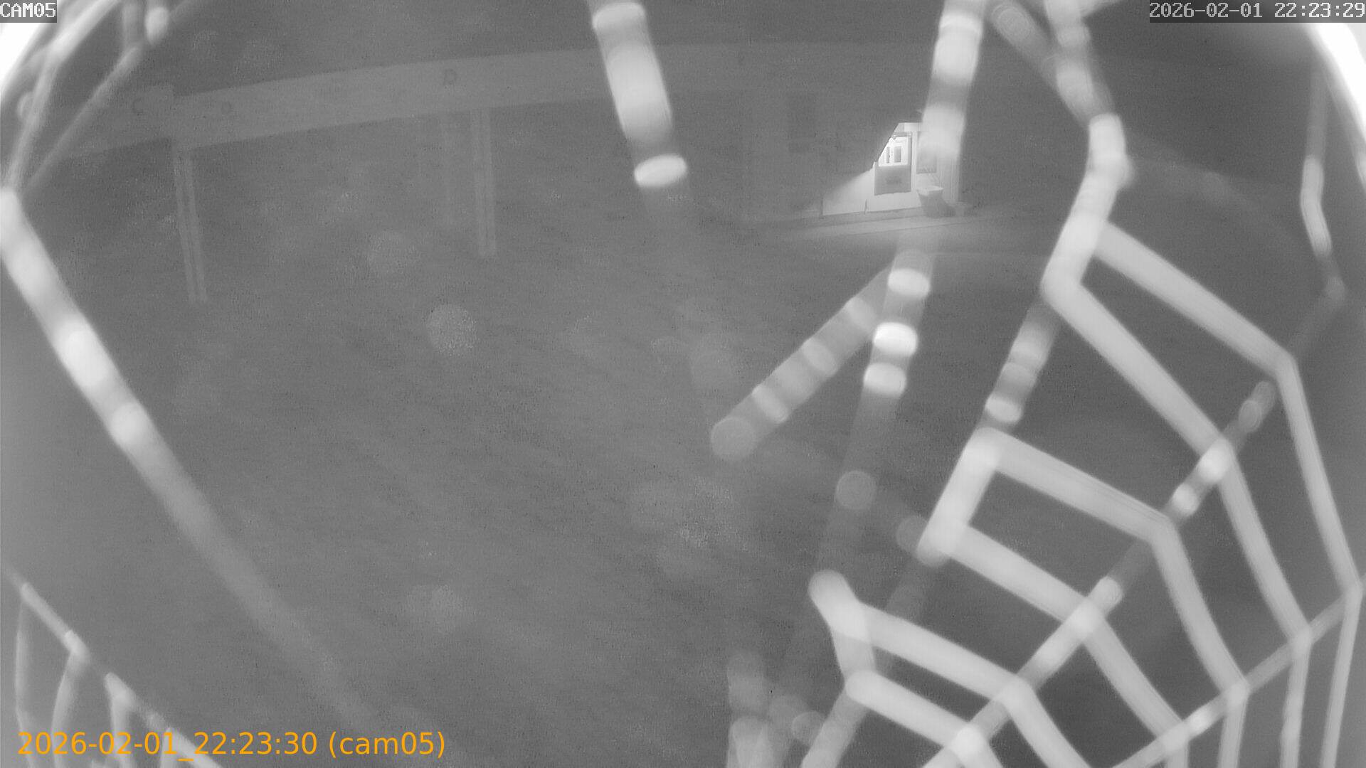 thumbnail_20260201222330