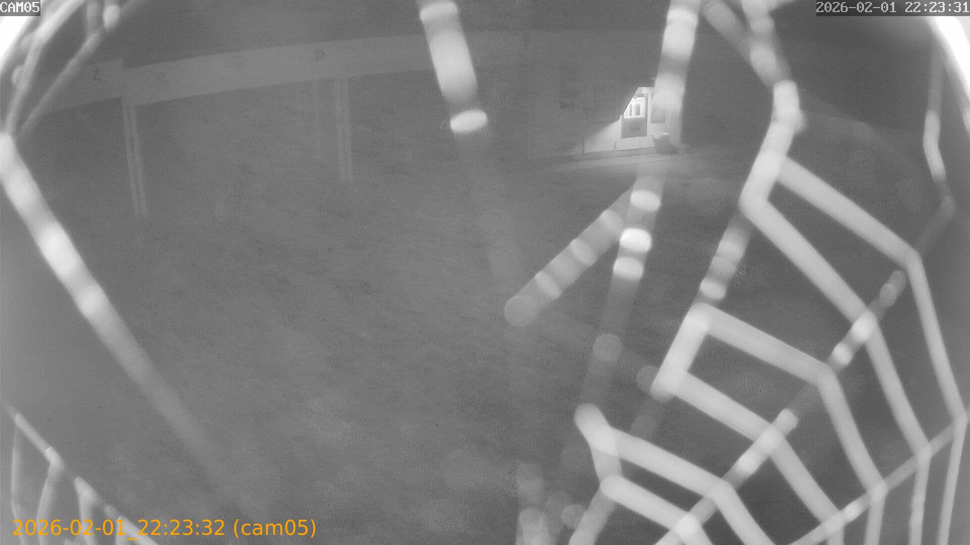 thumbnail_20260201222332