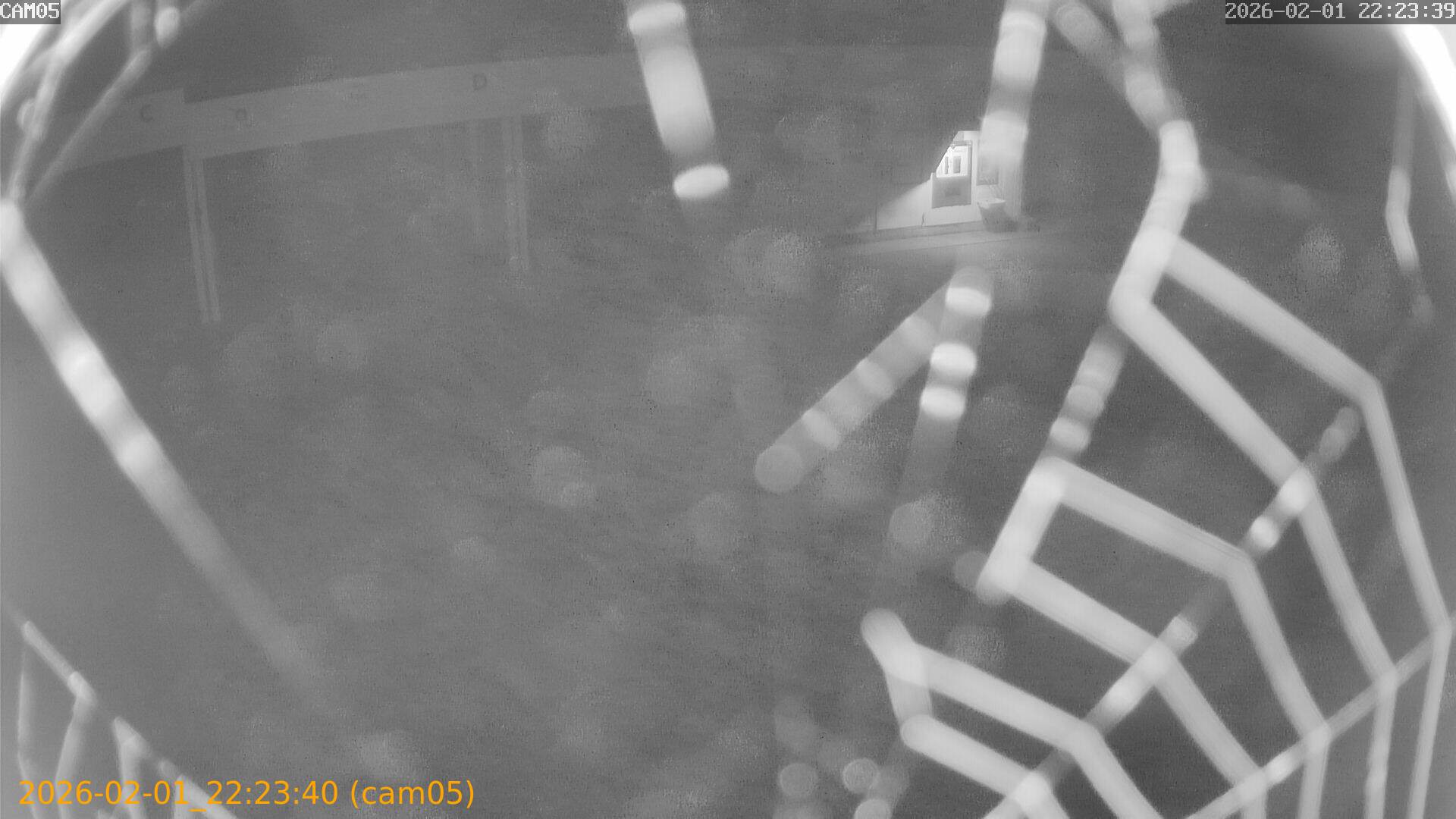 thumbnail_20260201222340