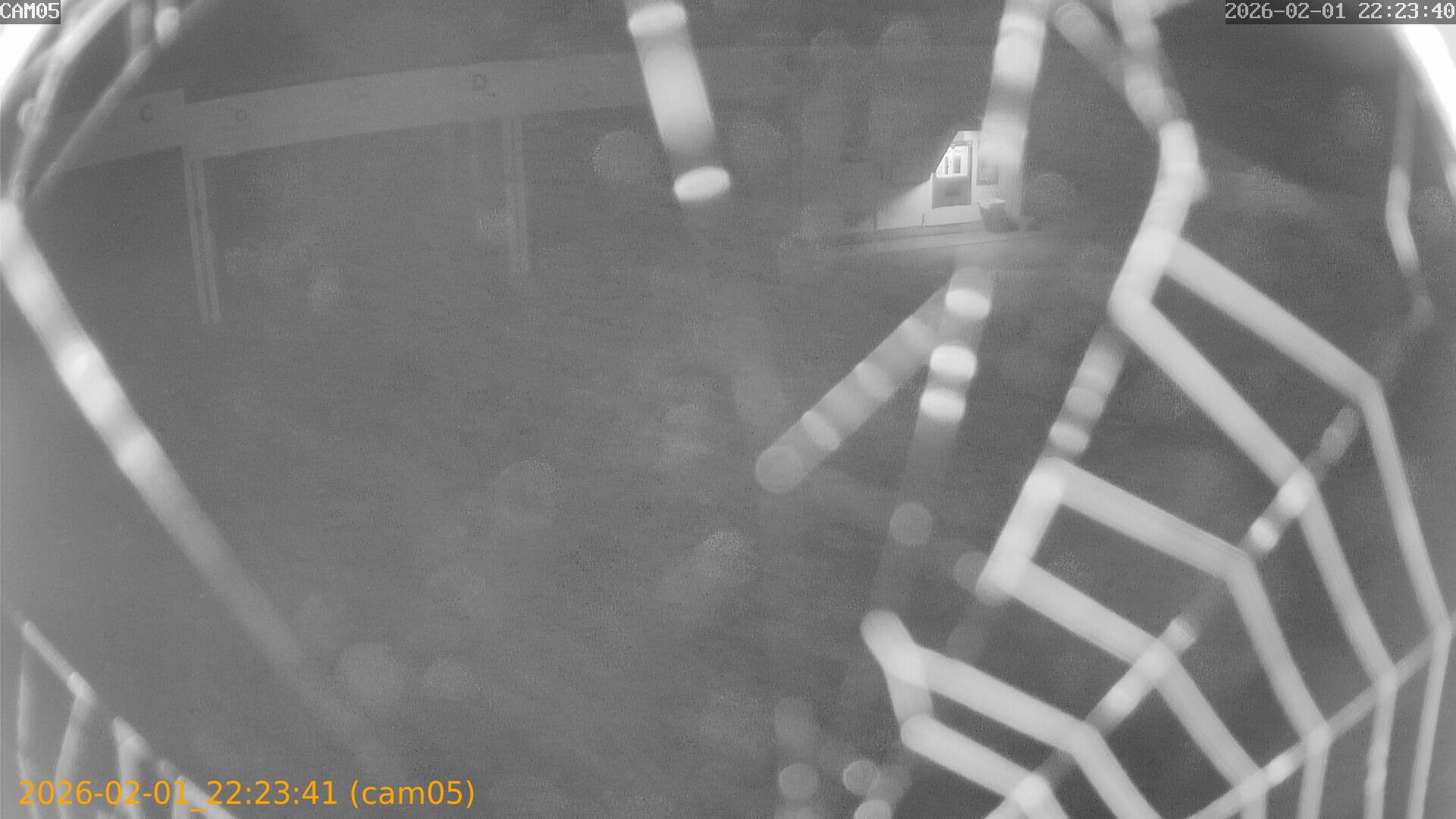 thumbnail_20260201222341