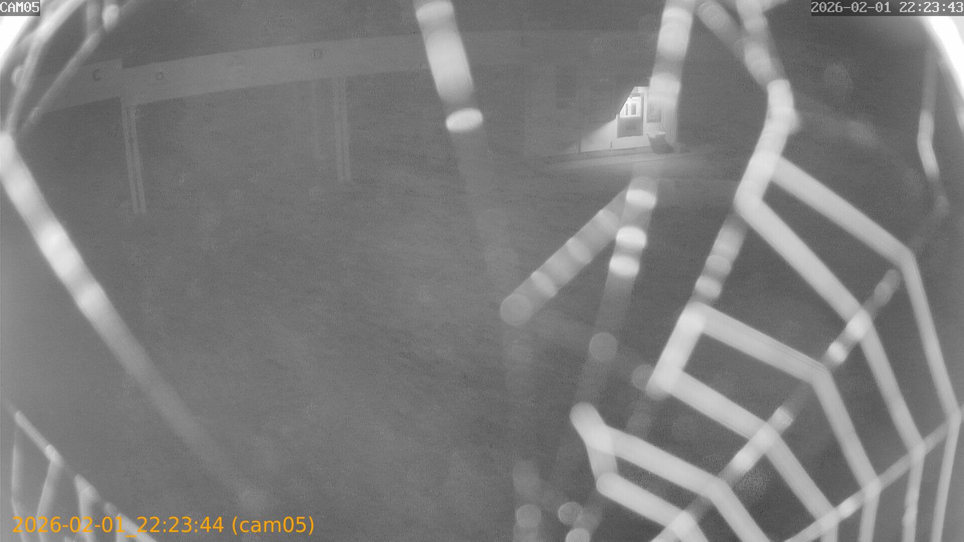 thumbnail_20260201222344