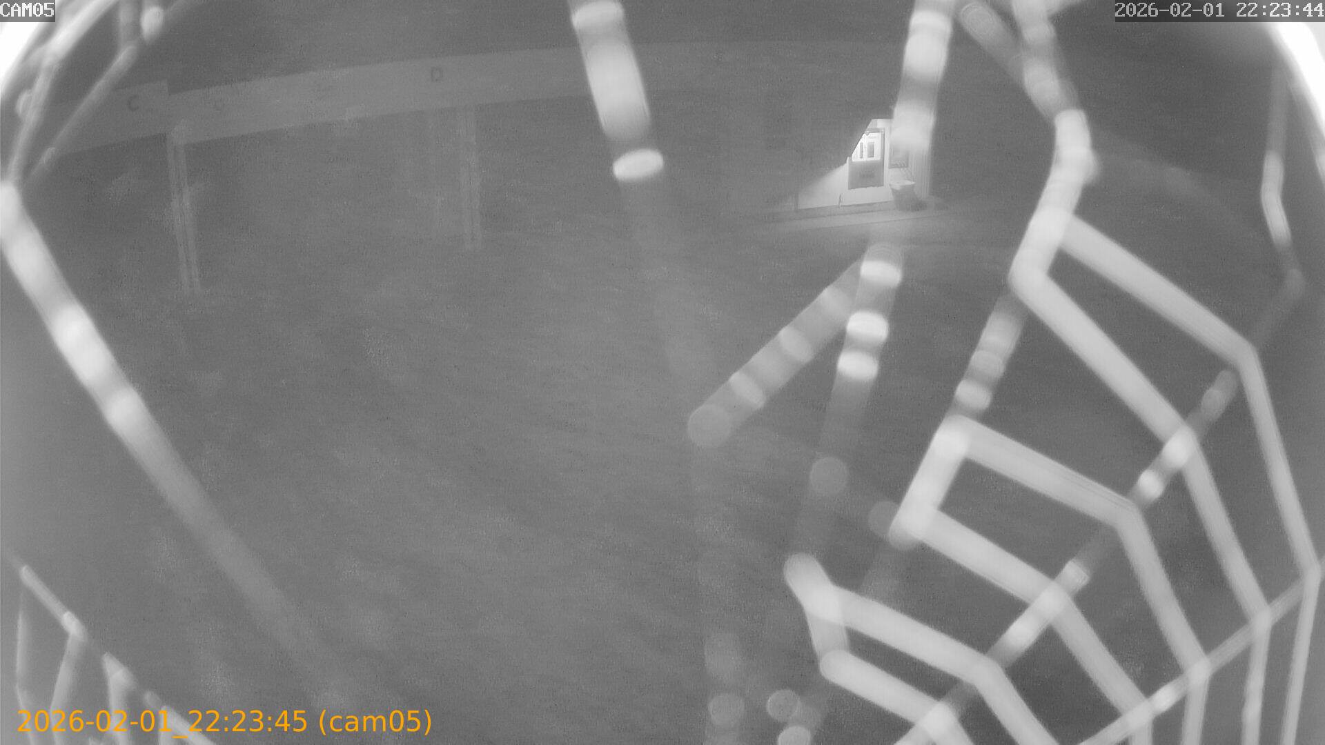 thumbnail_20260201222345