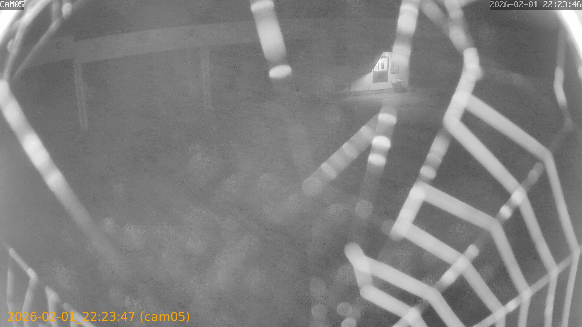 thumbnail_20260201222347