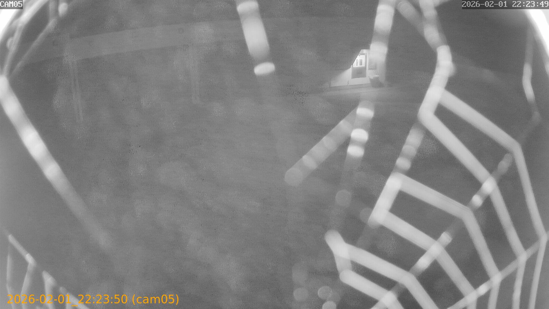 thumbnail_20260201222350