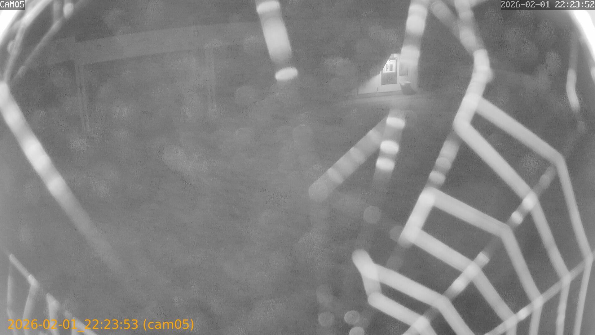 thumbnail_20260201222353