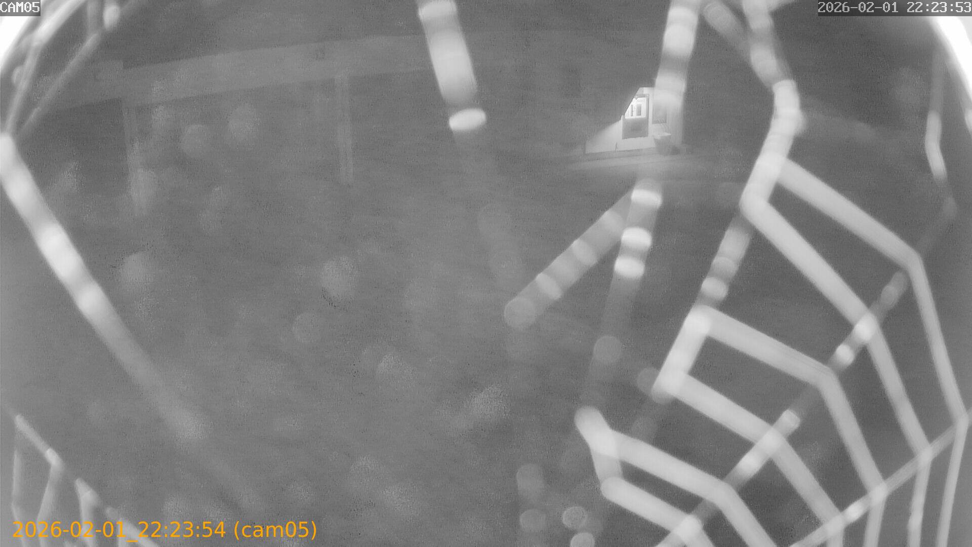 thumbnail_20260201222354