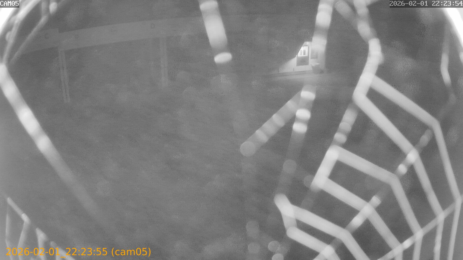 thumbnail_20260201222355