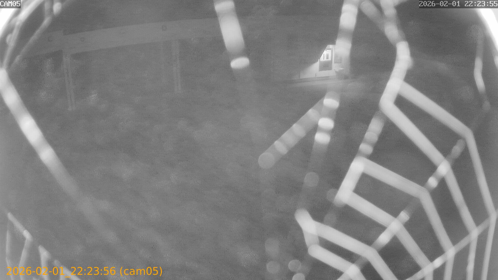 thumbnail_20260201222356