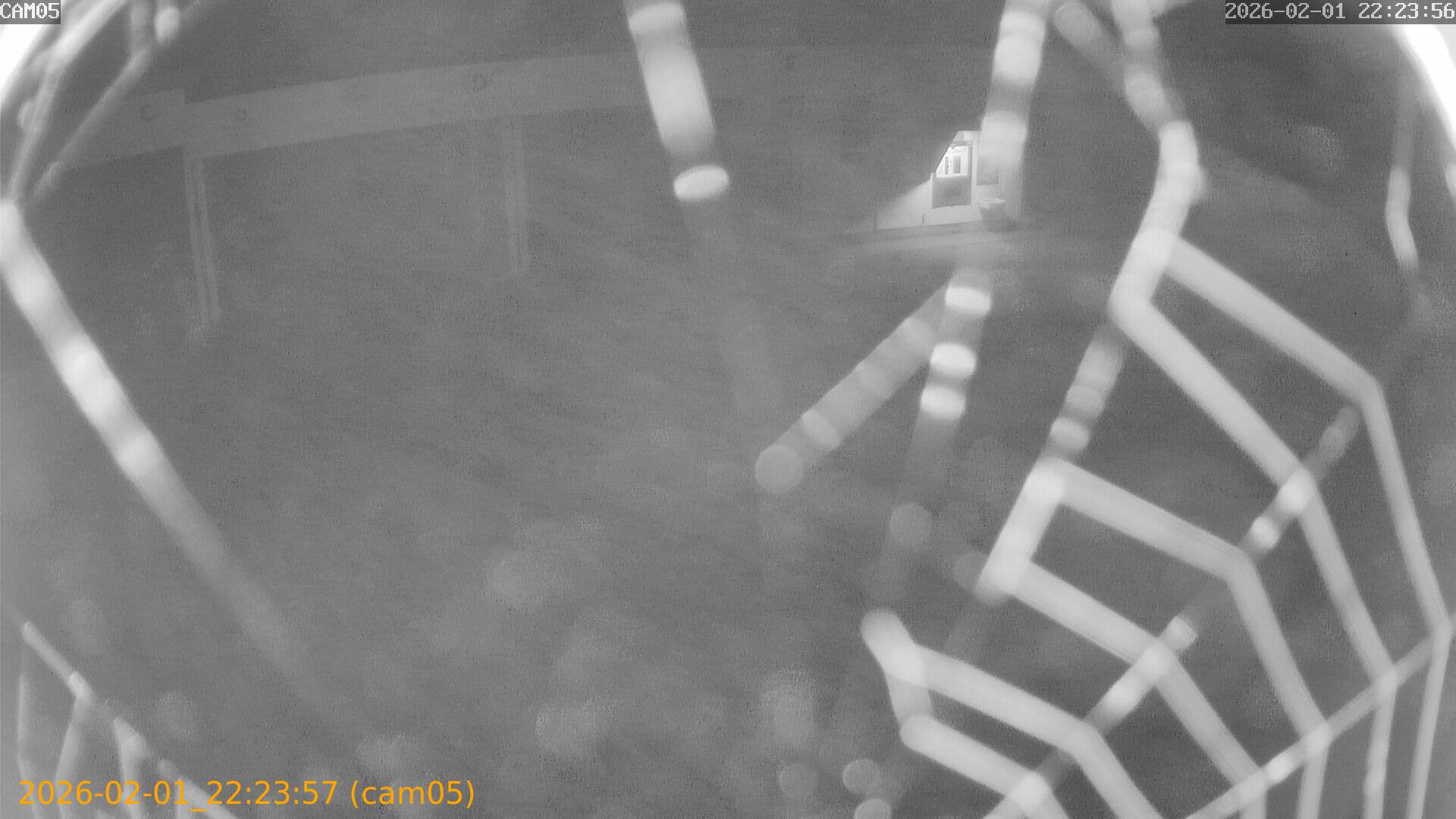 thumbnail_20260201222357