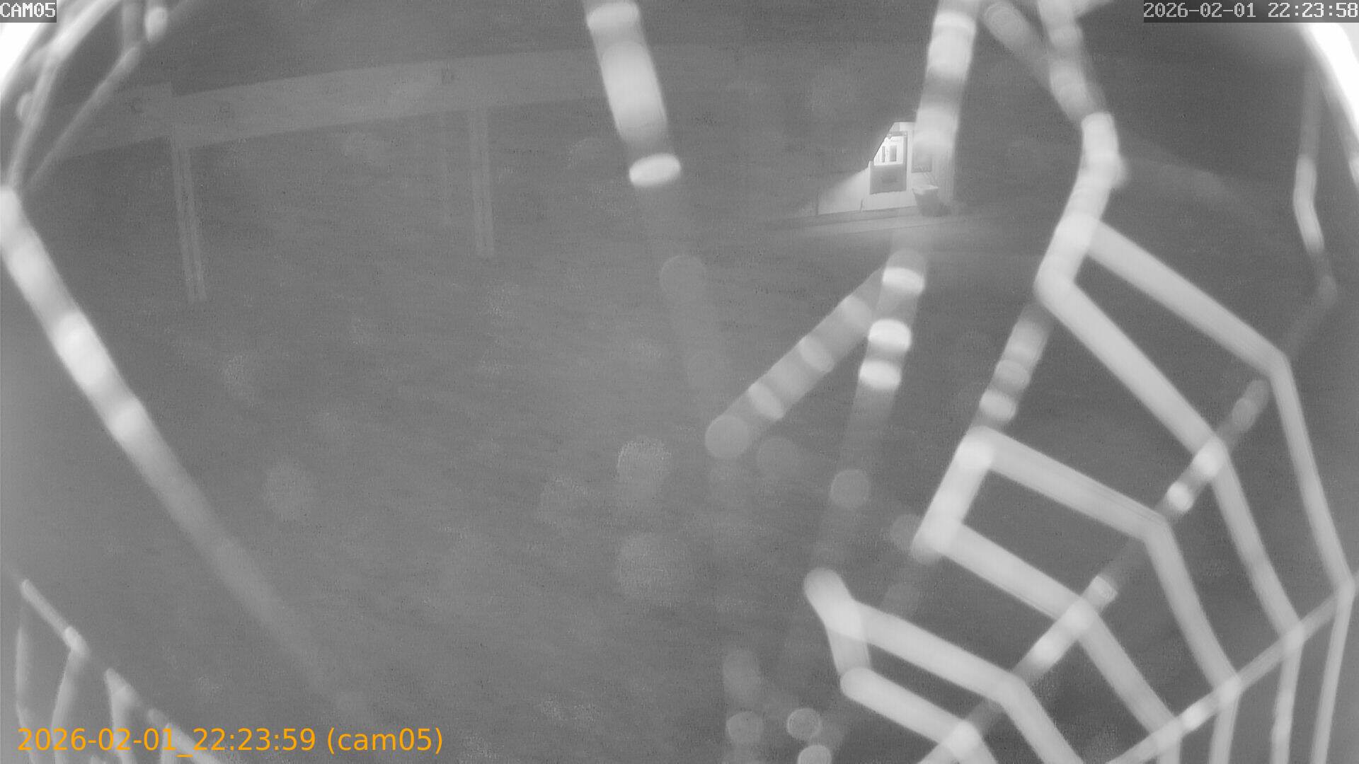 thumbnail_20260201222359