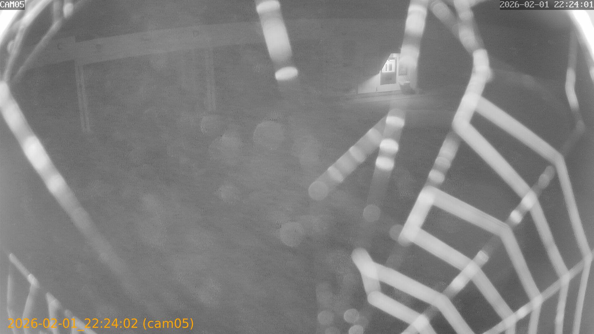 thumbnail_20260201222402