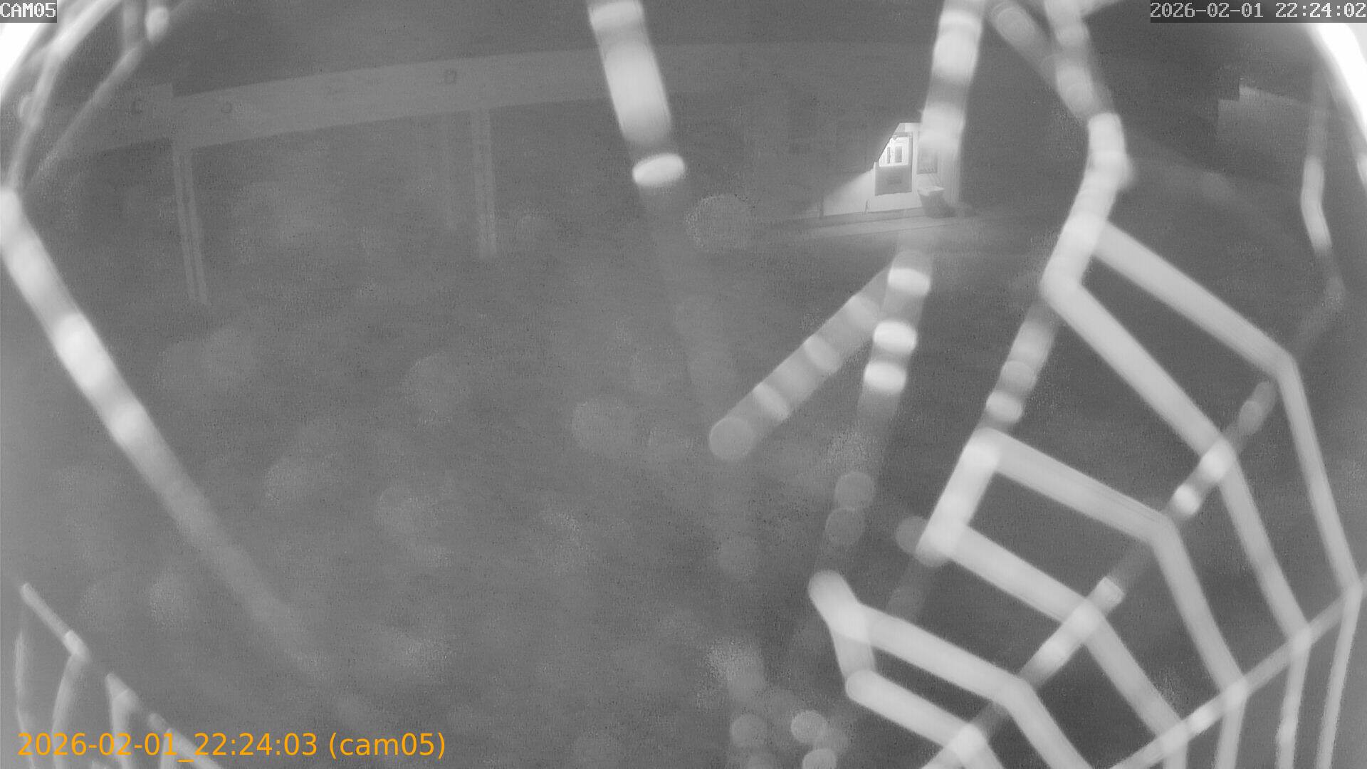 thumbnail_20260201222403