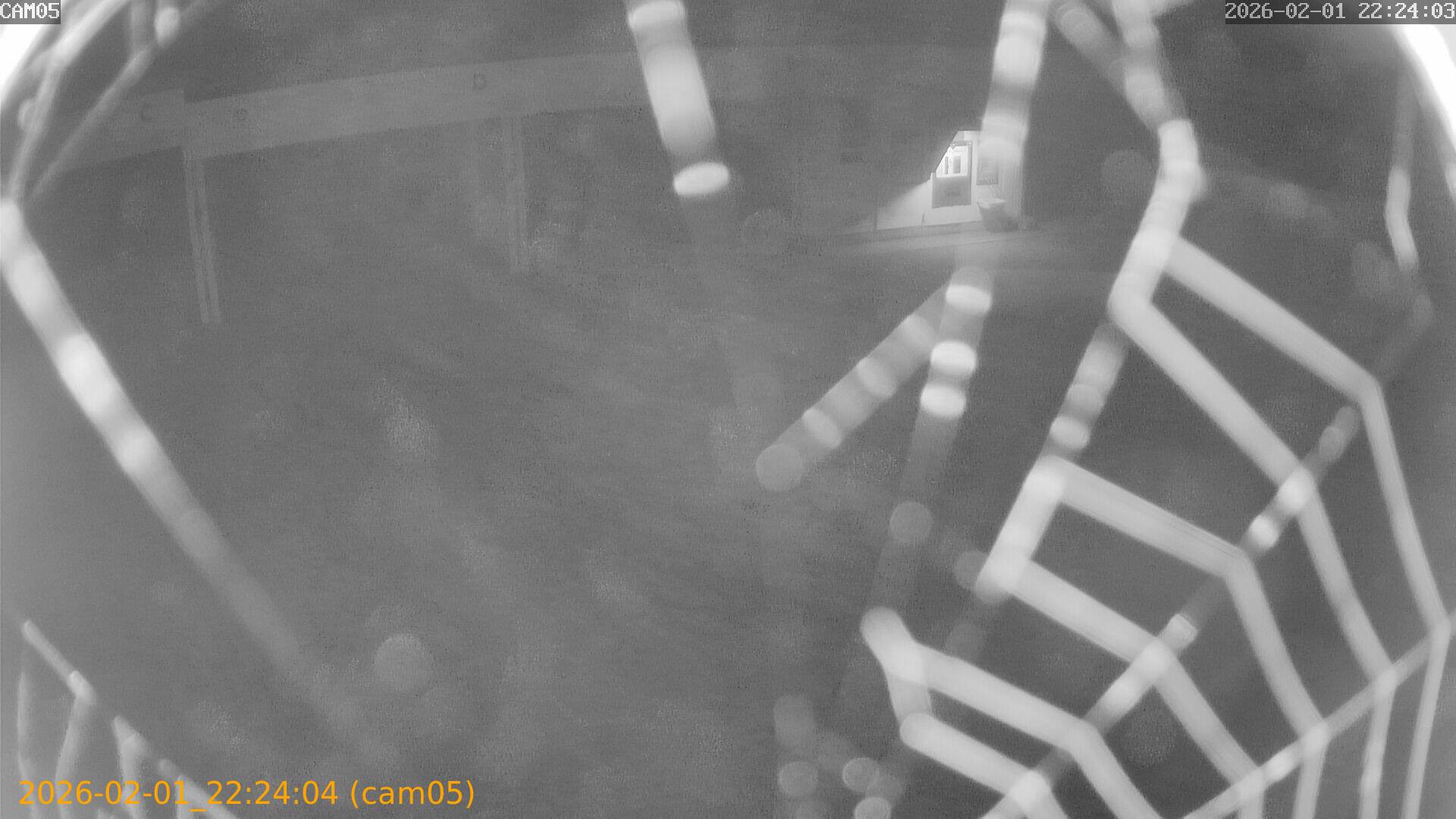 thumbnail_20260201222404