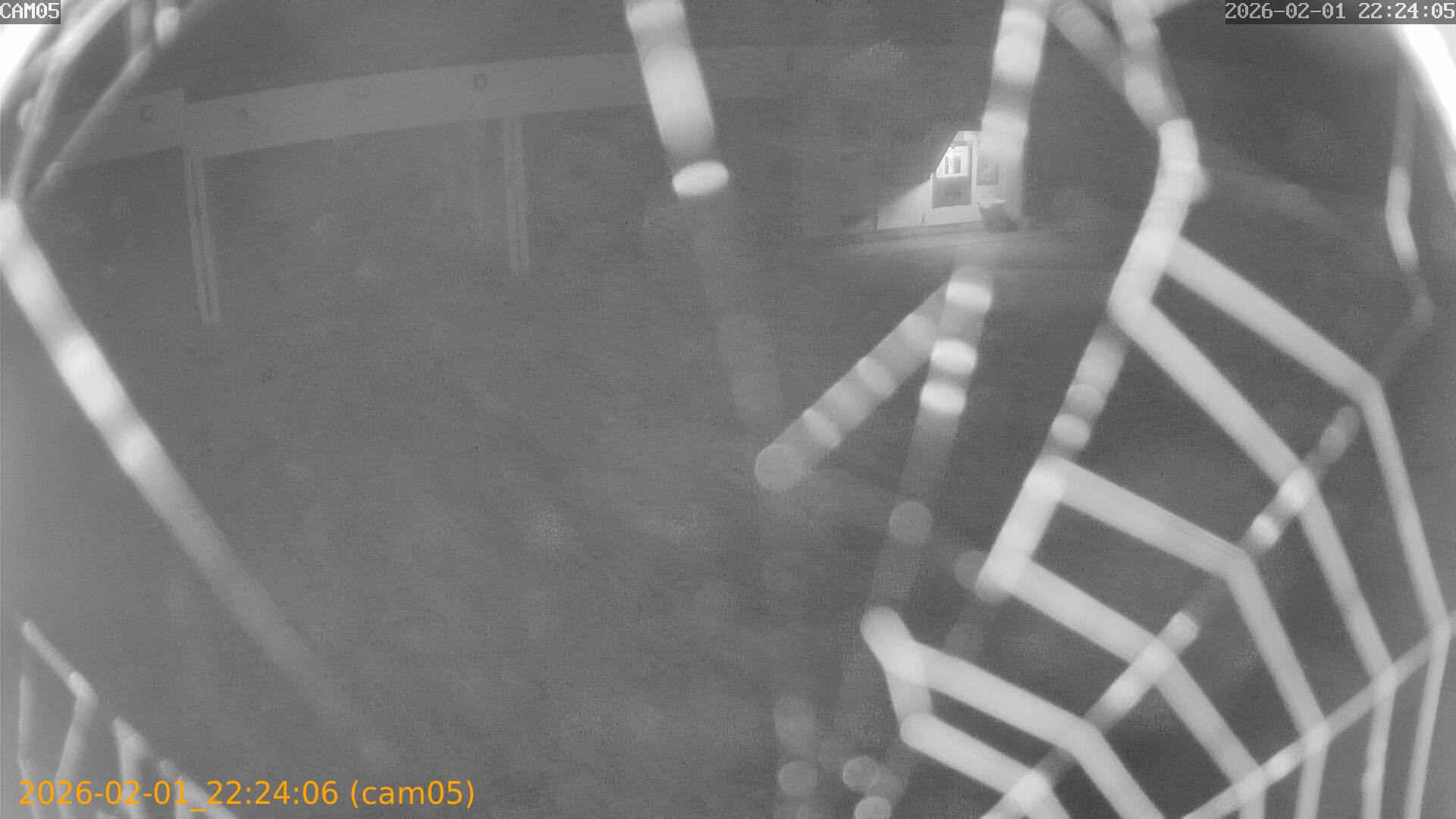 thumbnail_20260201222406