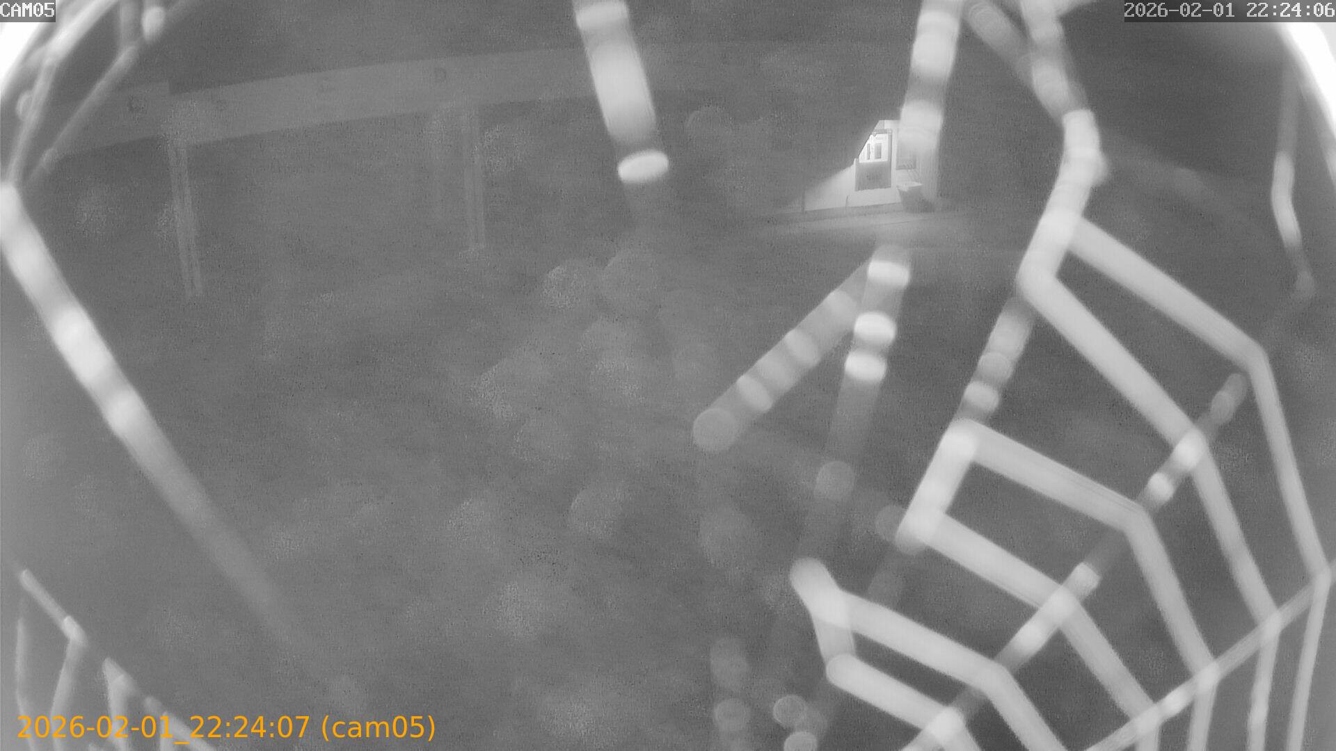 thumbnail_20260201222407