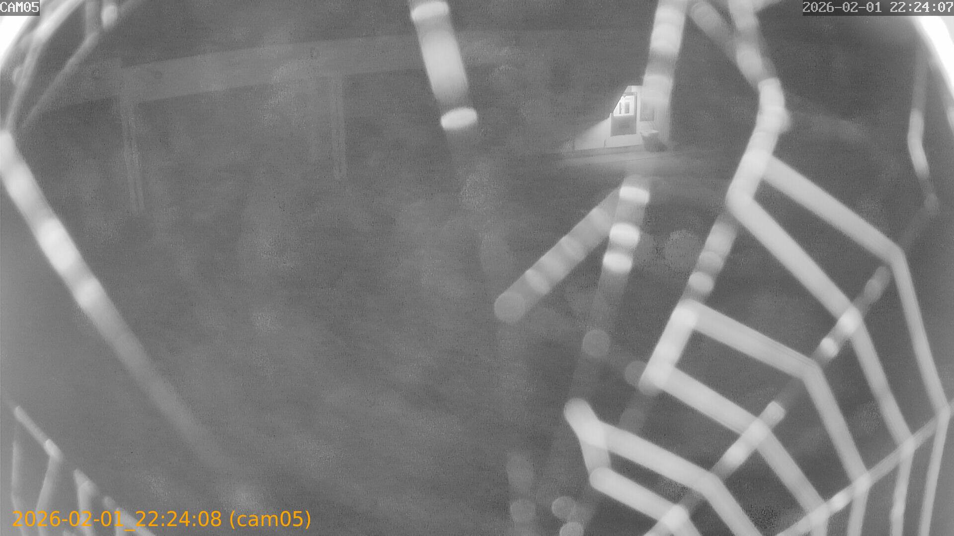 thumbnail_20260201222408