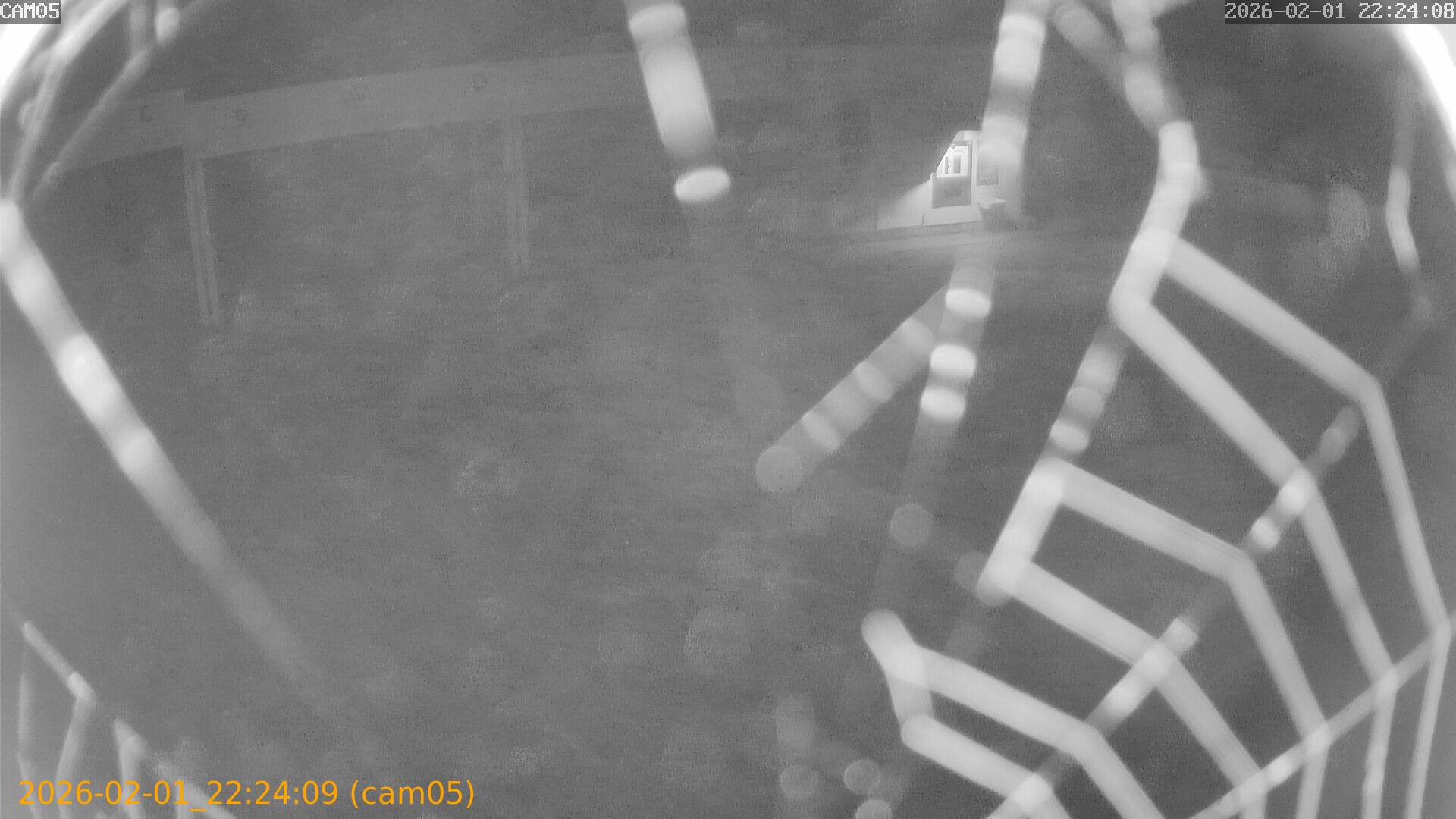 thumbnail_20260201222409