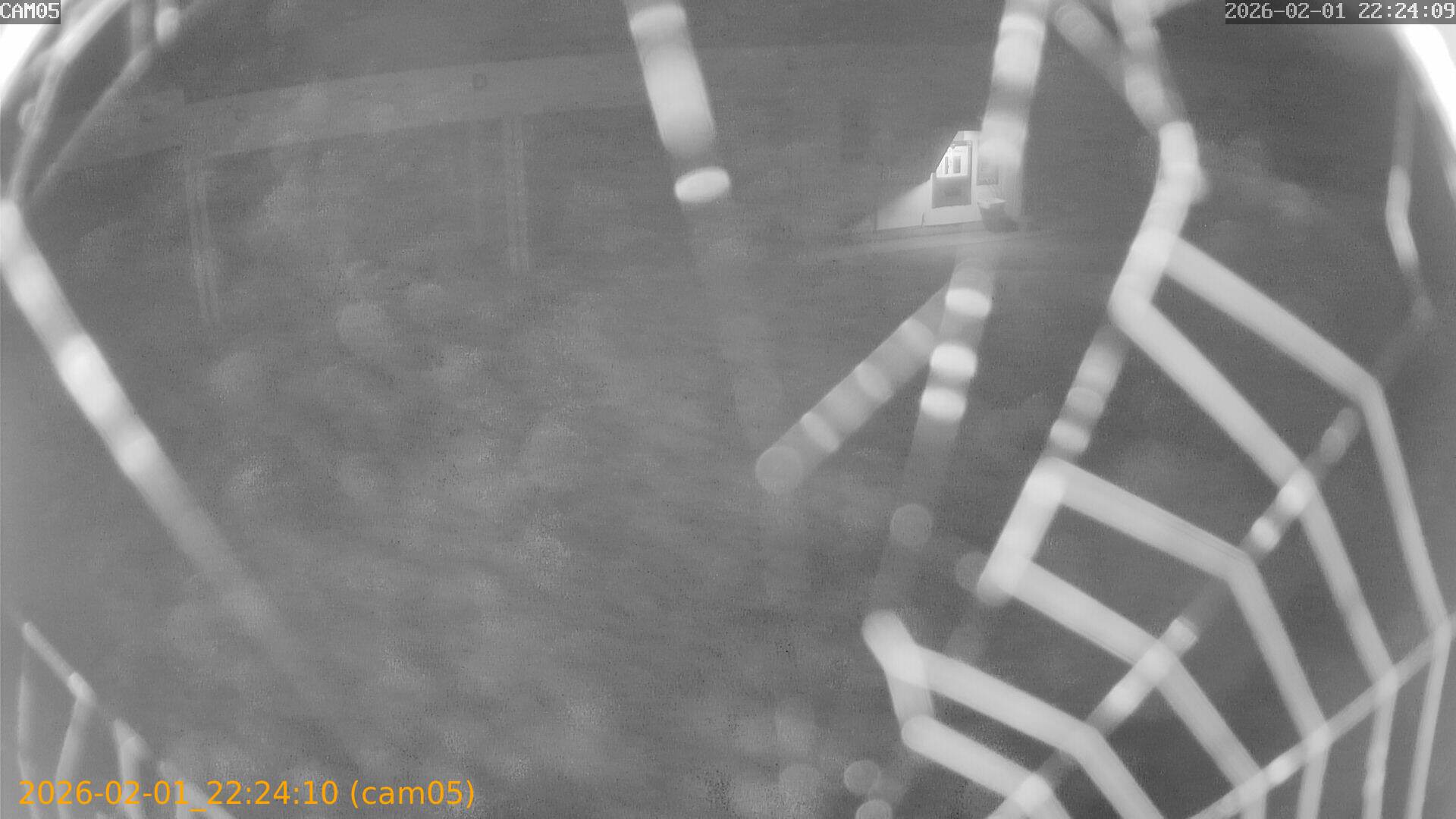 thumbnail_20260201222410