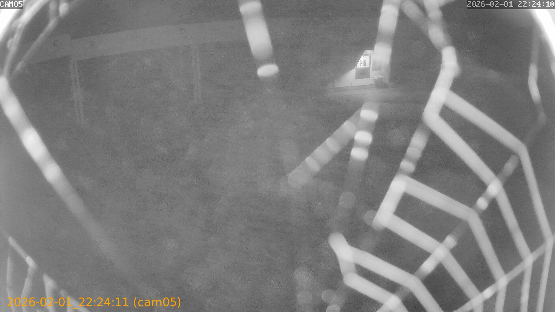 thumbnail_20260201222411