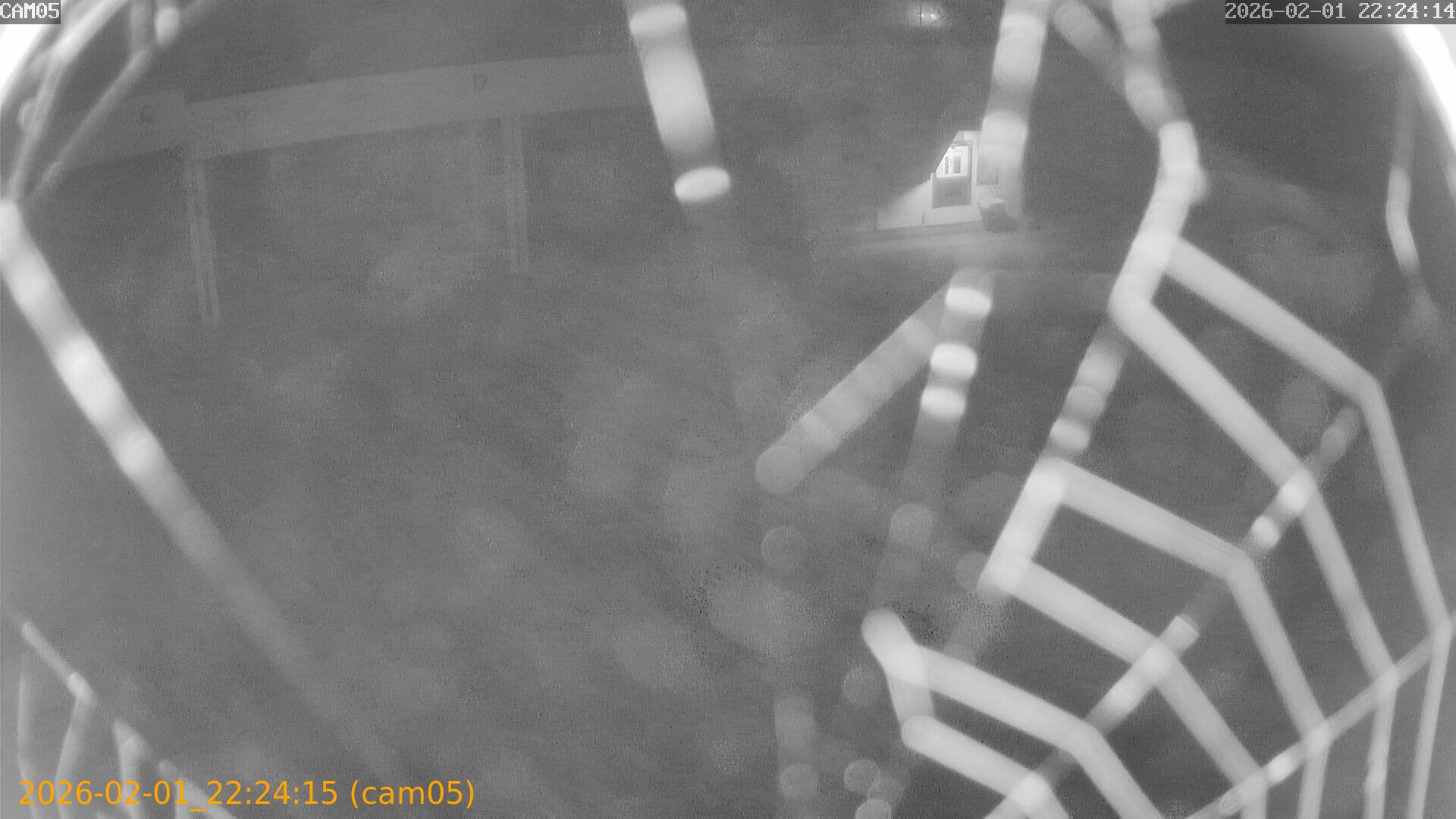 thumbnail_20260201222415