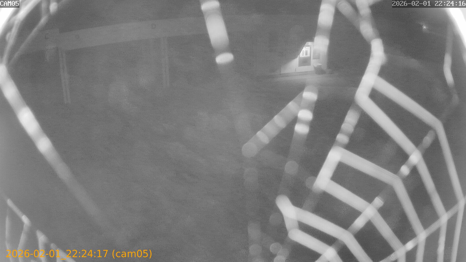 thumbnail_20260201222417