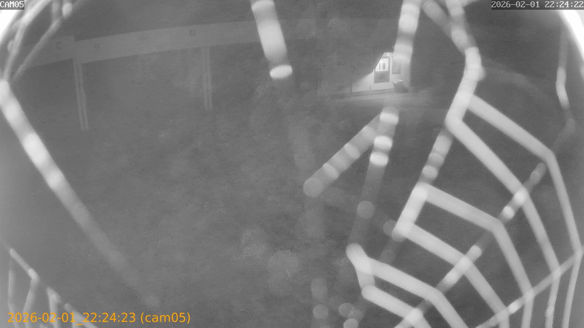 thumbnail_20260201222423