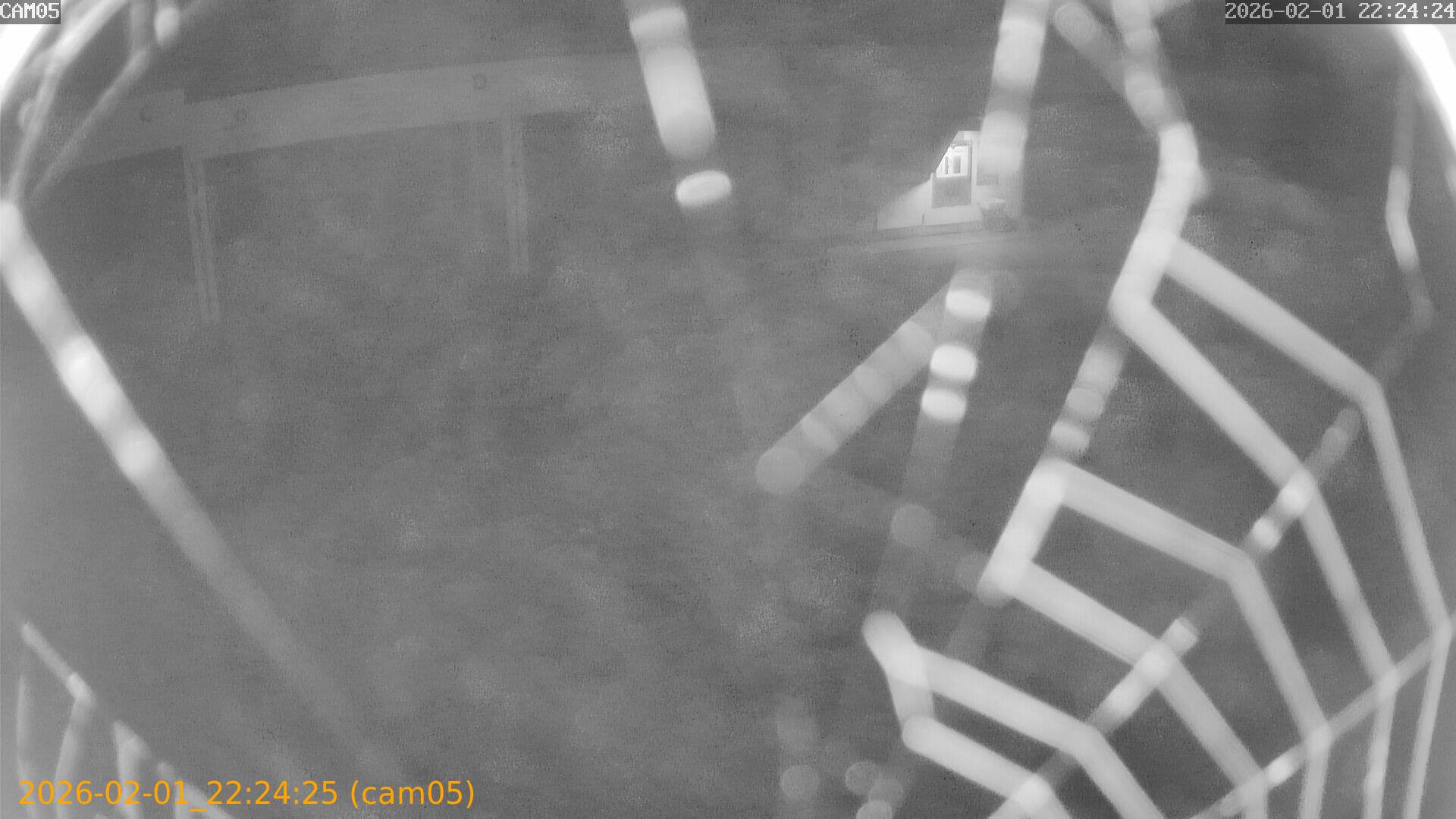 thumbnail_20260201222425