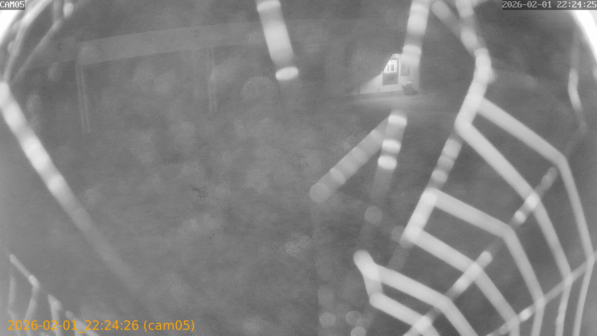 thumbnail_20260201222426