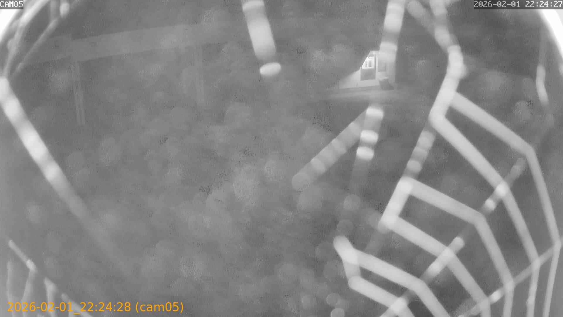 thumbnail_20260201222428