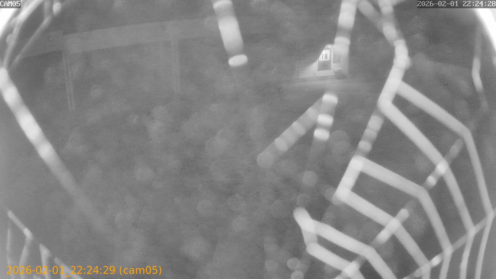 thumbnail_20260201222429