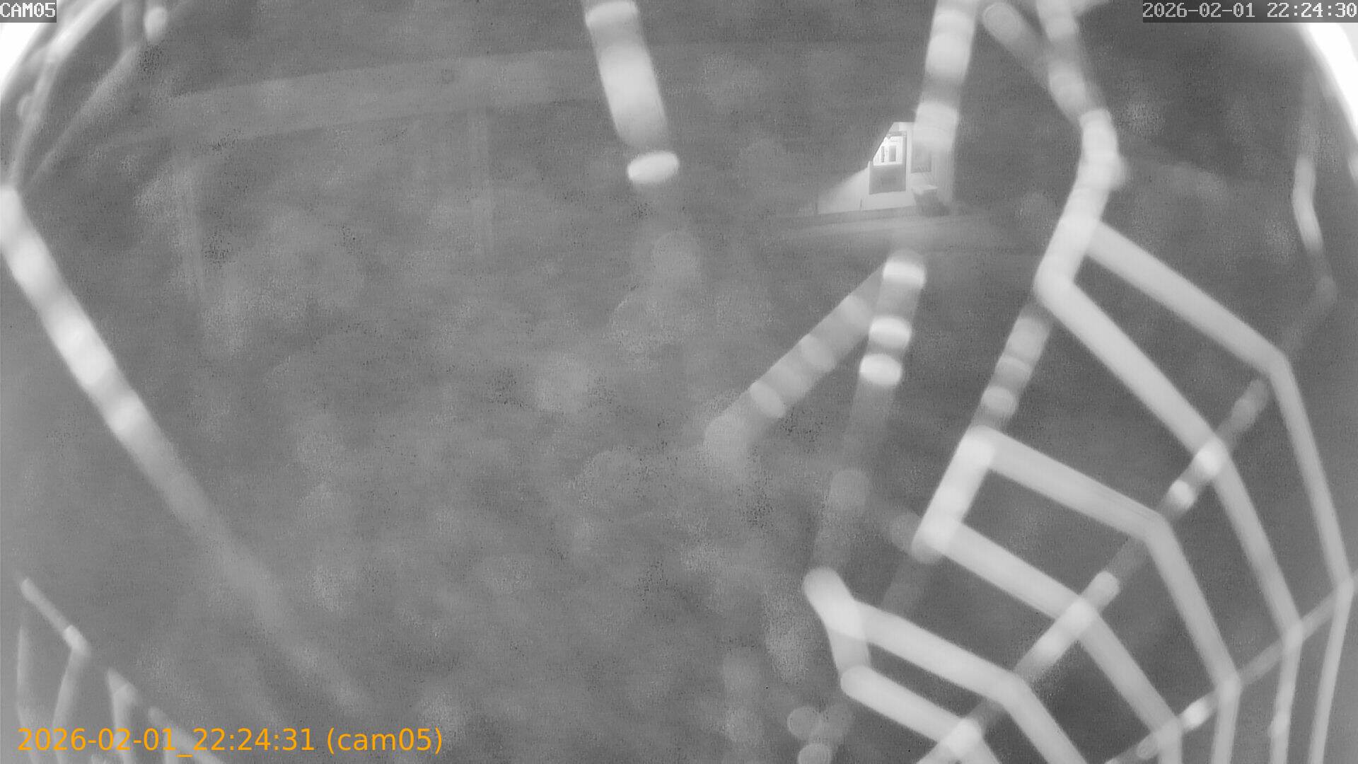 thumbnail_20260201222431