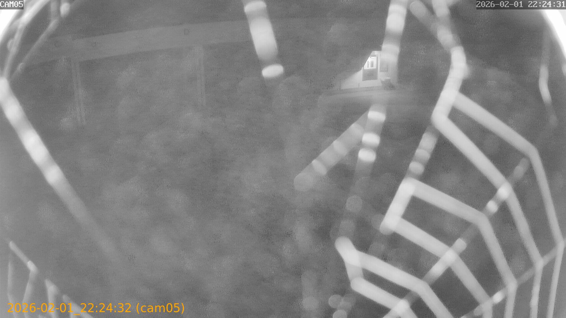 thumbnail_20260201222432