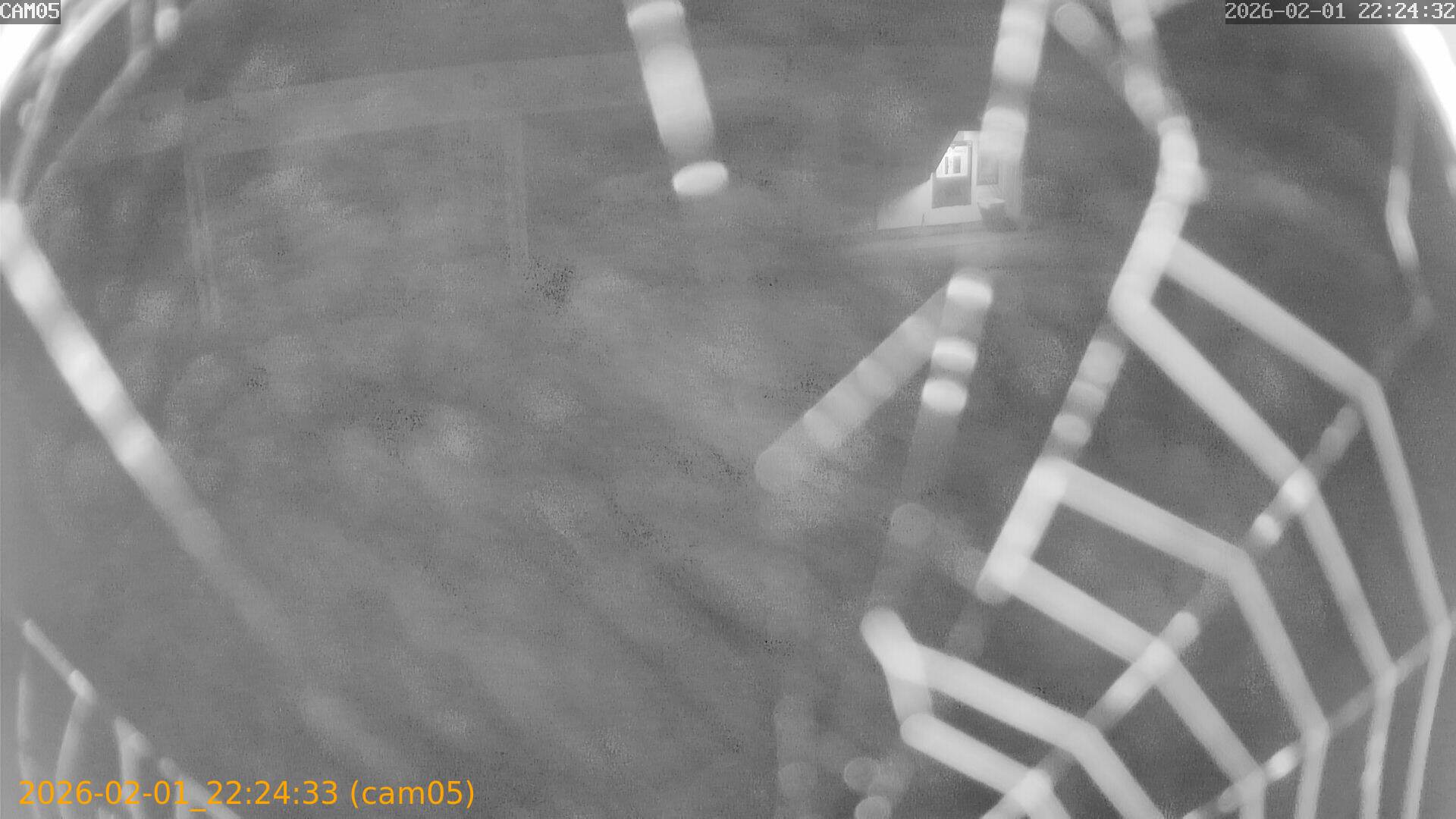 thumbnail_20260201222433