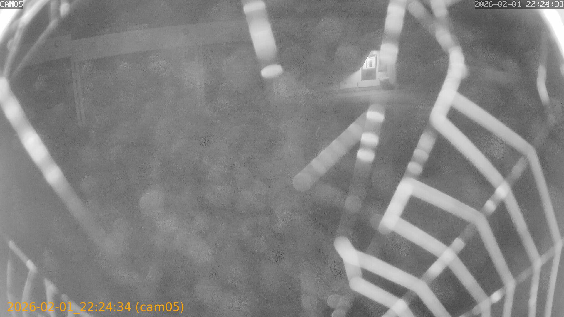 thumbnail_20260201222434