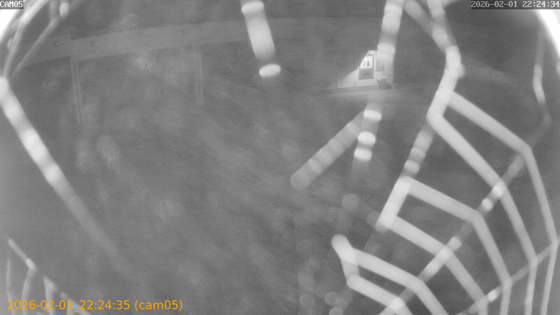 thumbnail_20260201222435