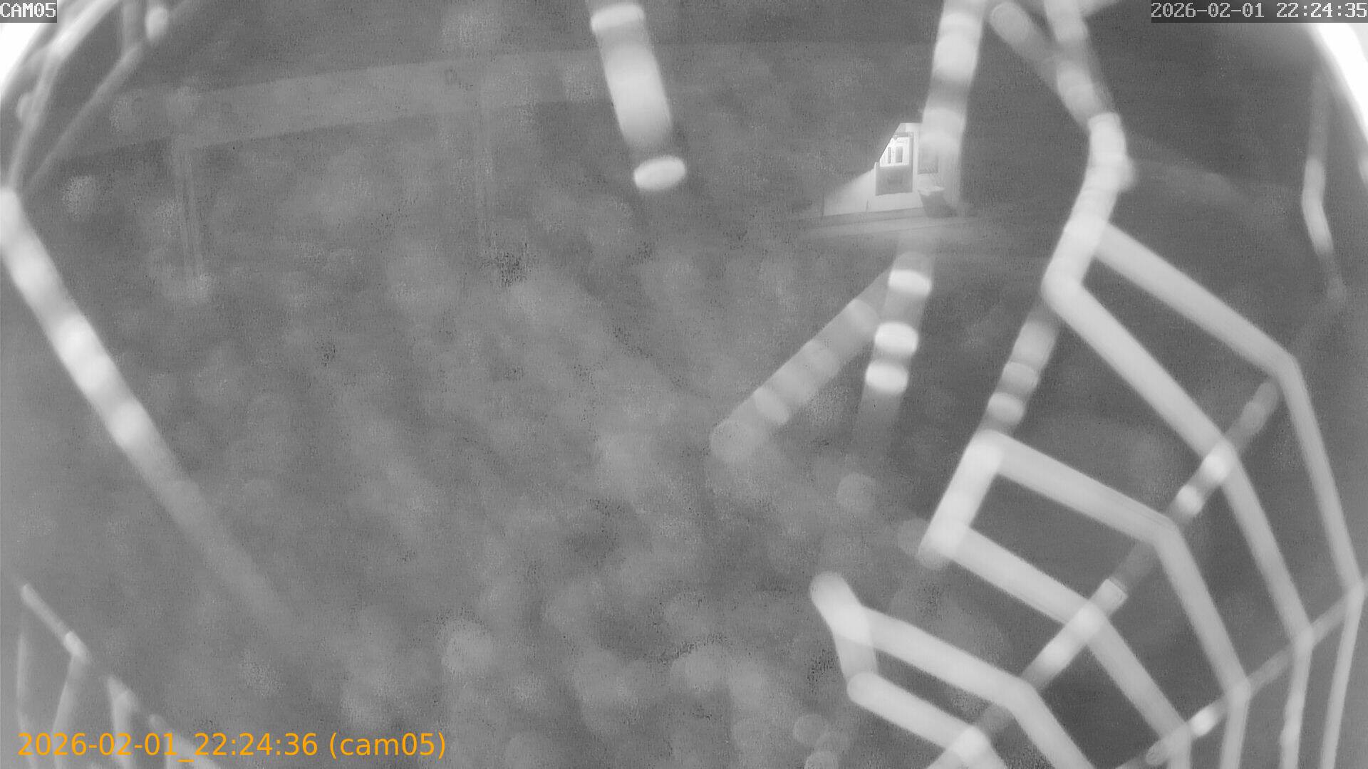 thumbnail_20260201222436