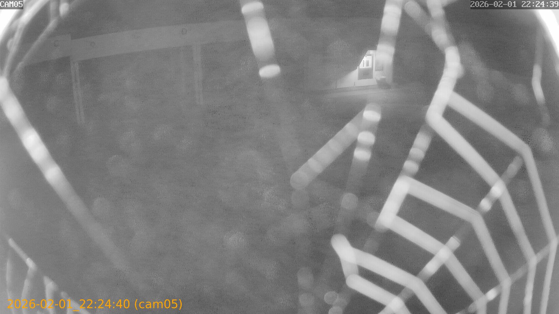 thumbnail_20260201222440