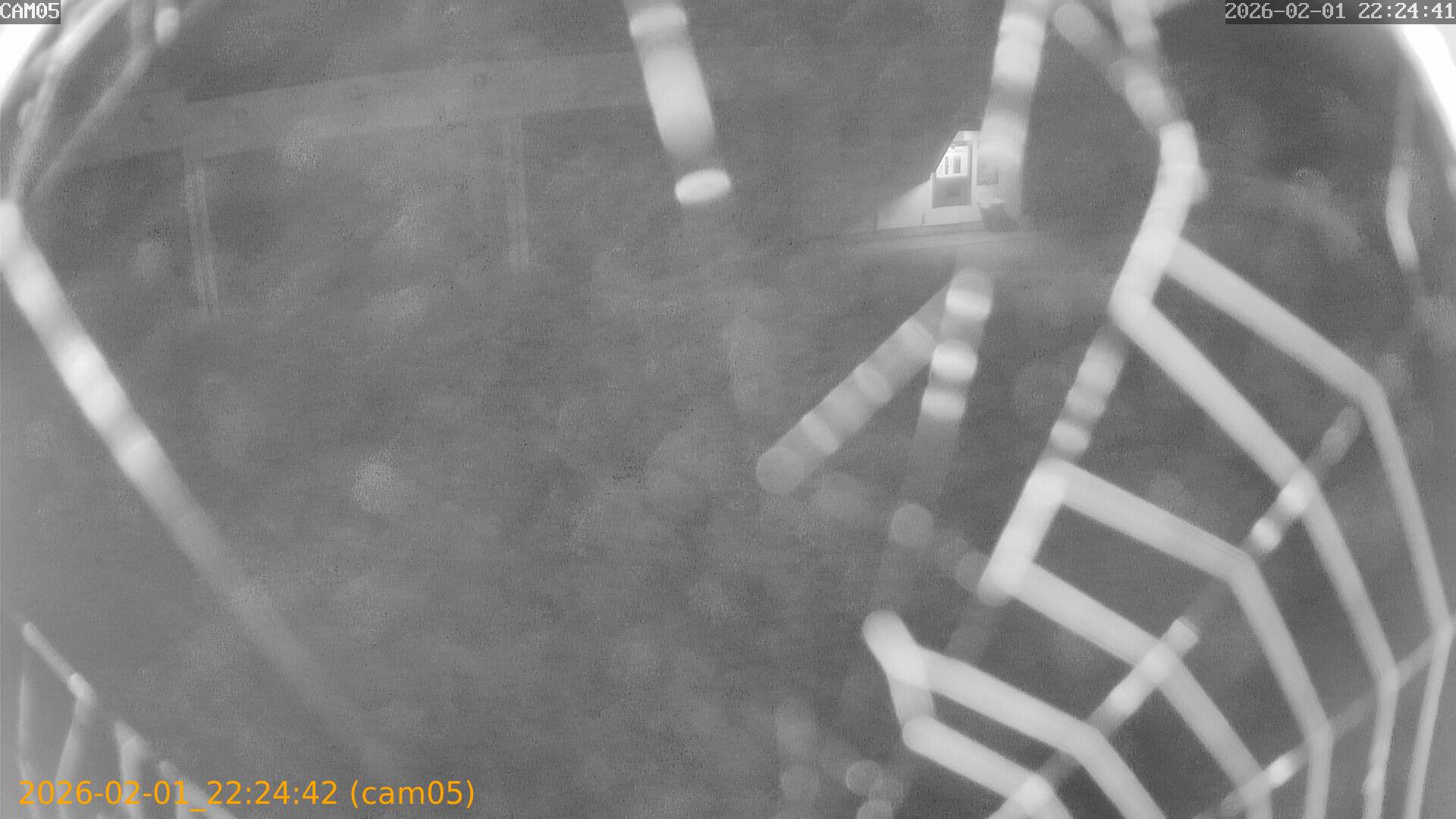 thumbnail_20260201222442