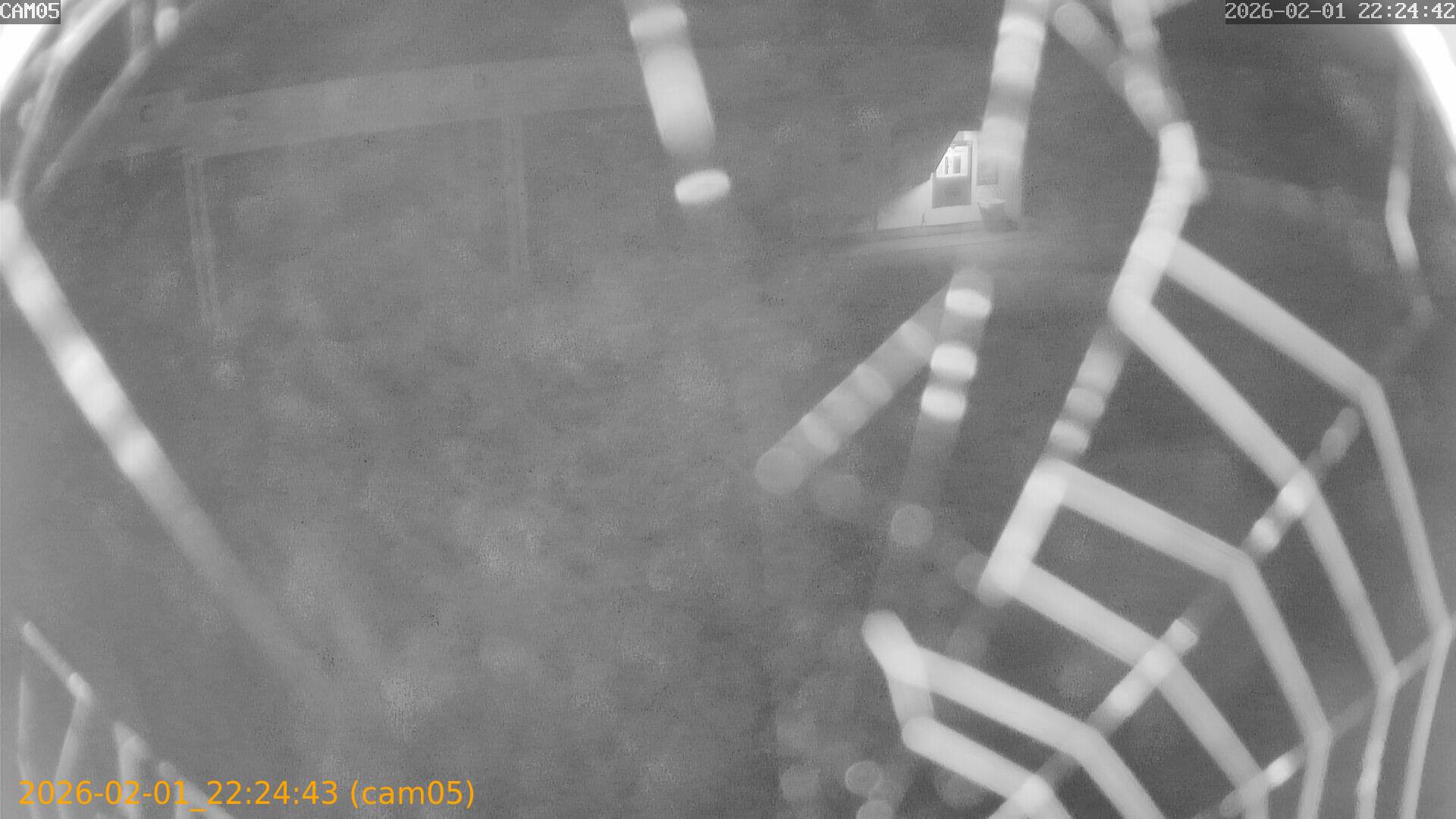 thumbnail_20260201222443