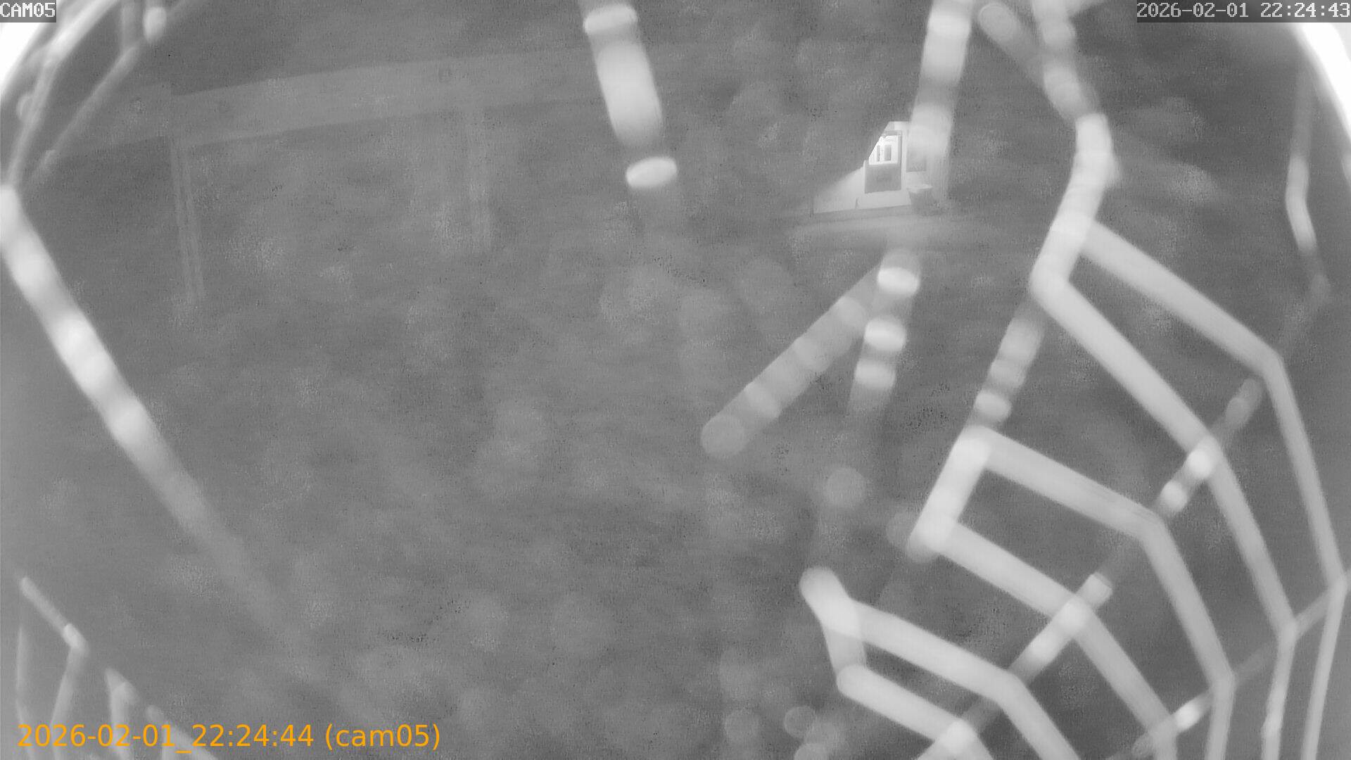 thumbnail_20260201222444