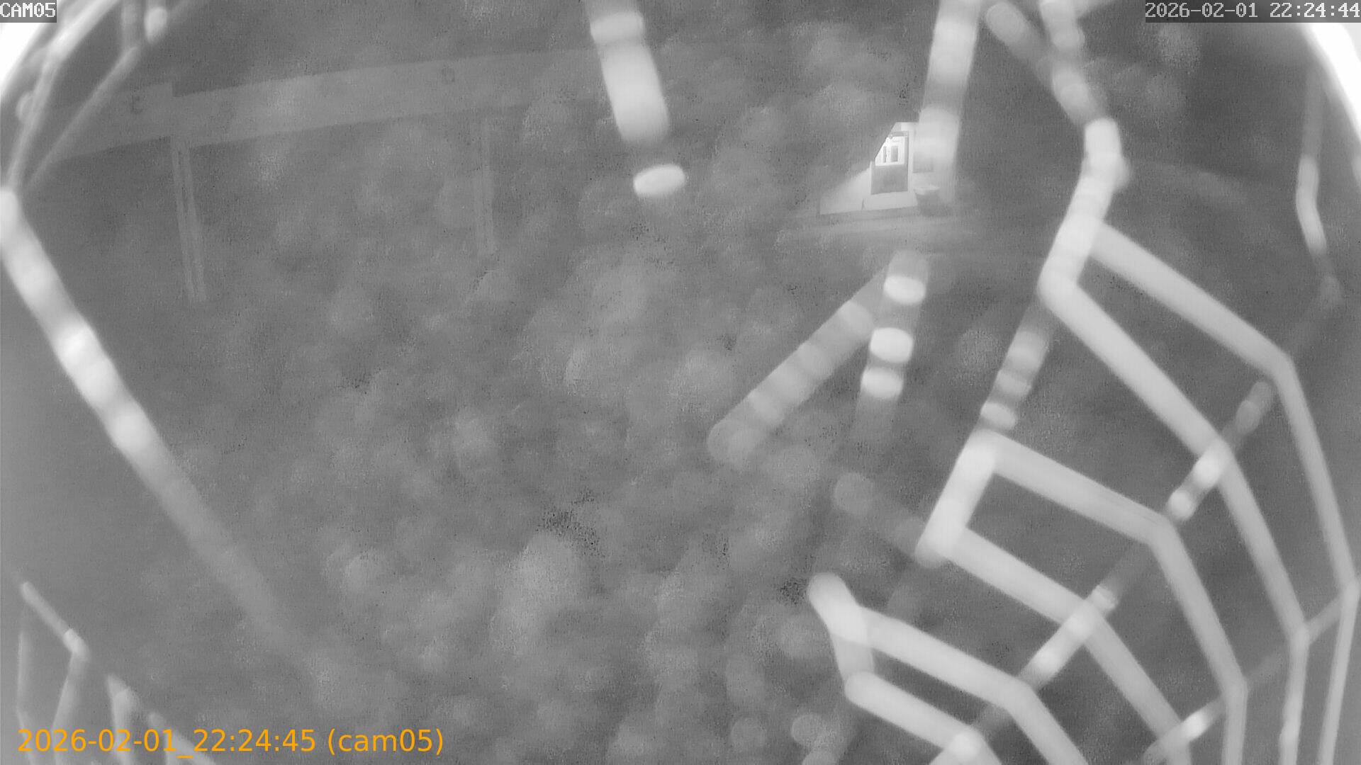 thumbnail_20260201222445