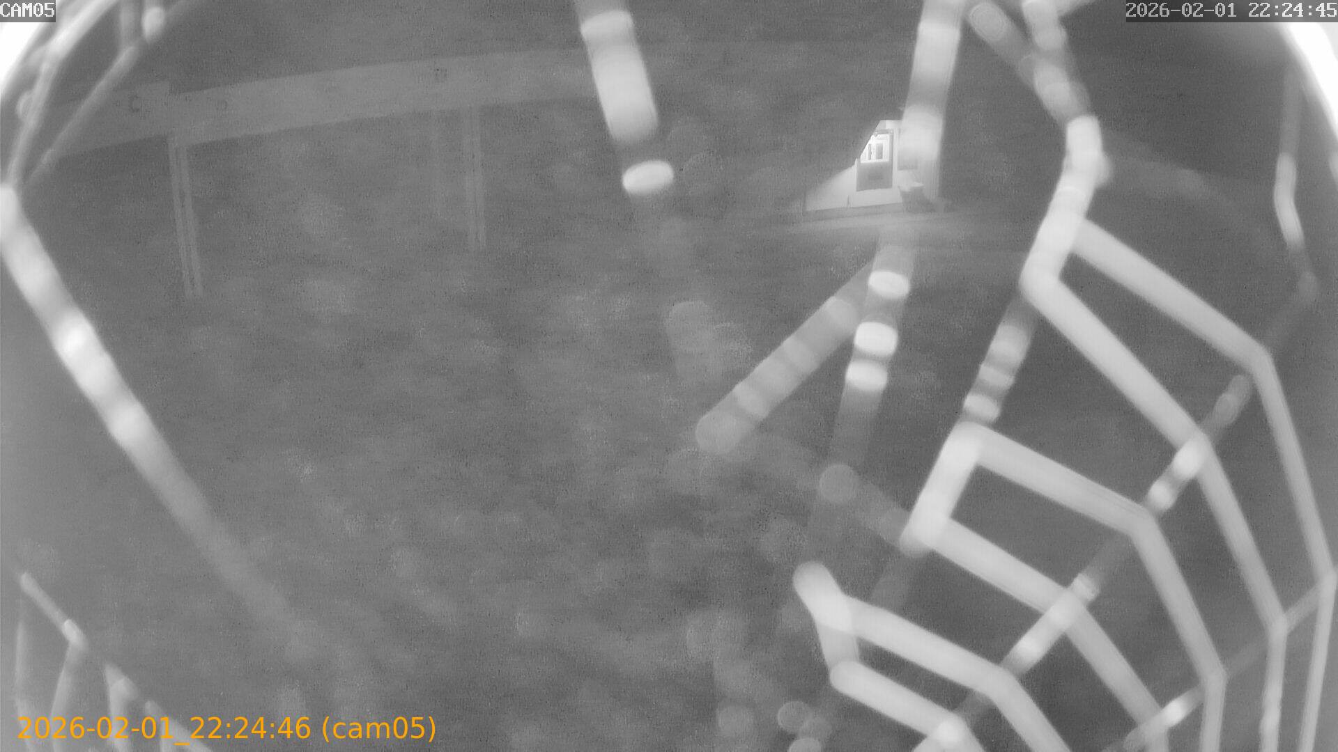 thumbnail_20260201222446