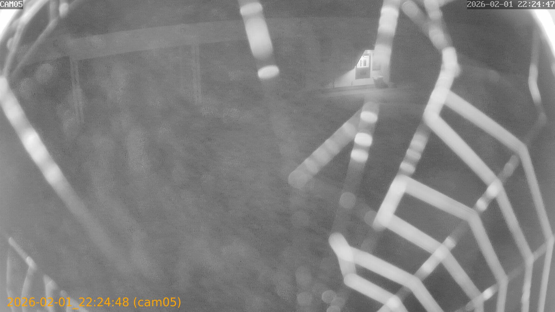 thumbnail_20260201222448