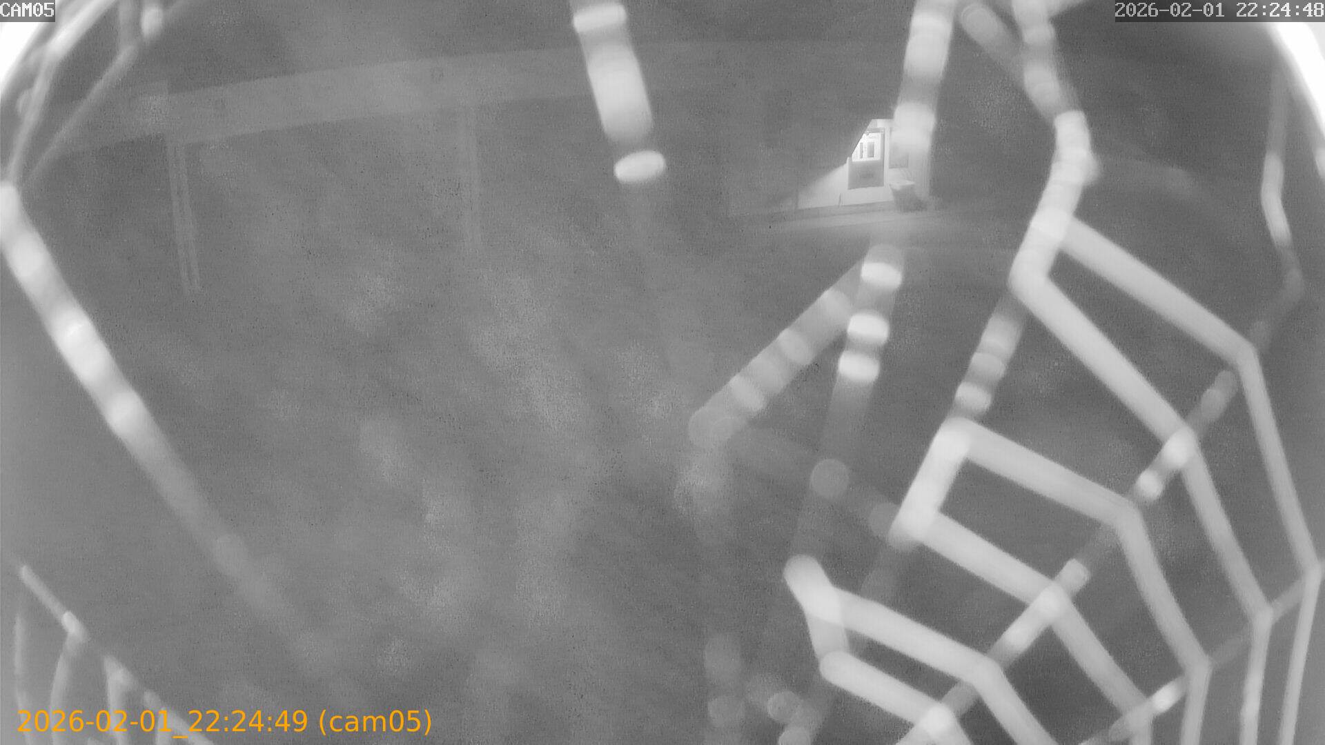 thumbnail_20260201222449