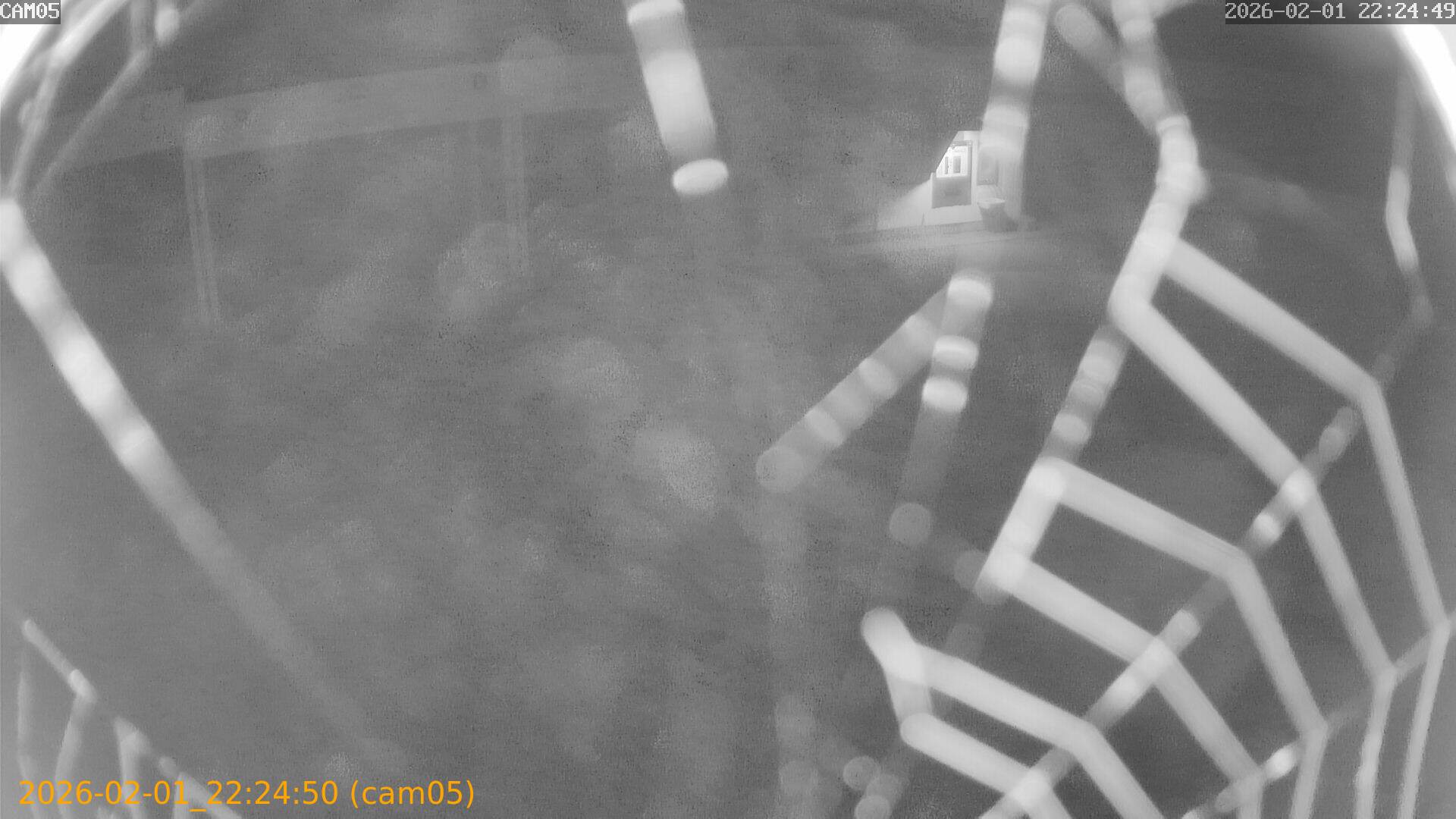 thumbnail_20260201222450