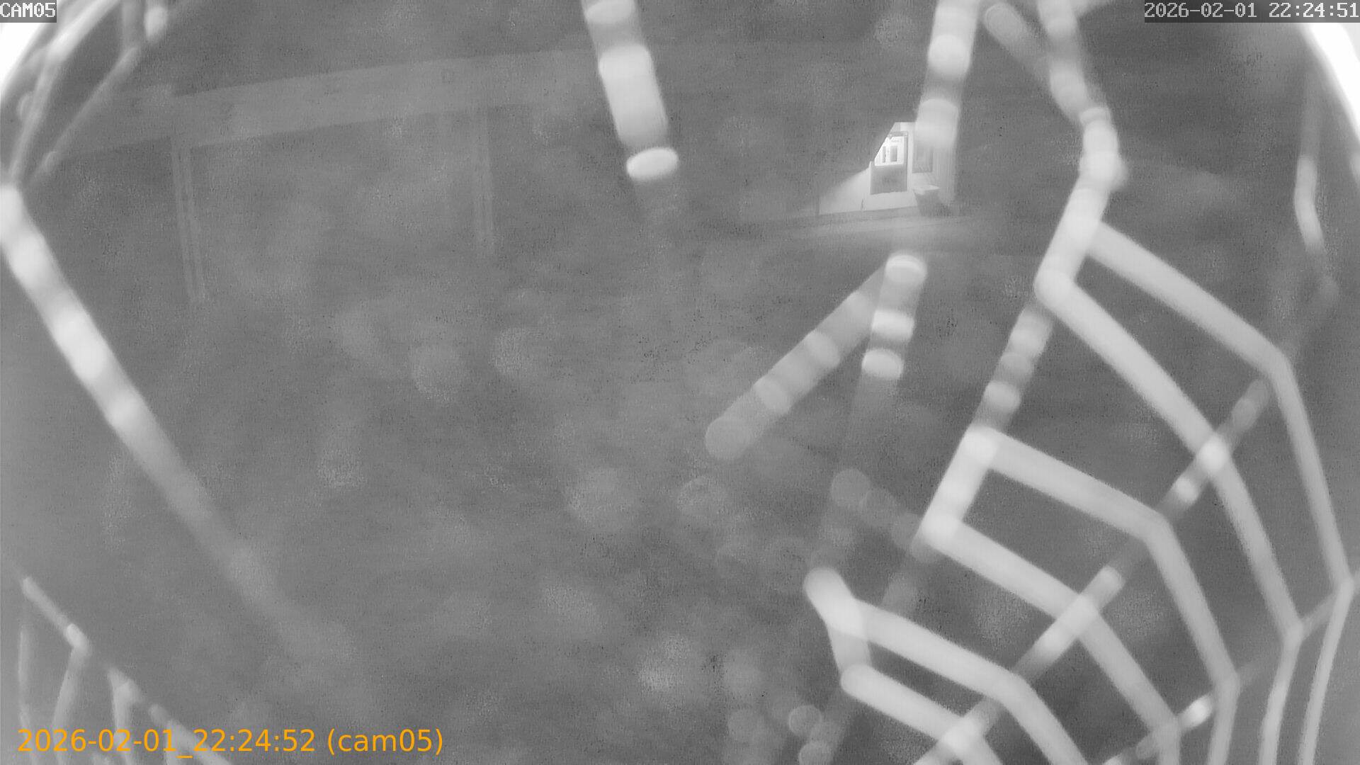 thumbnail_20260201222452