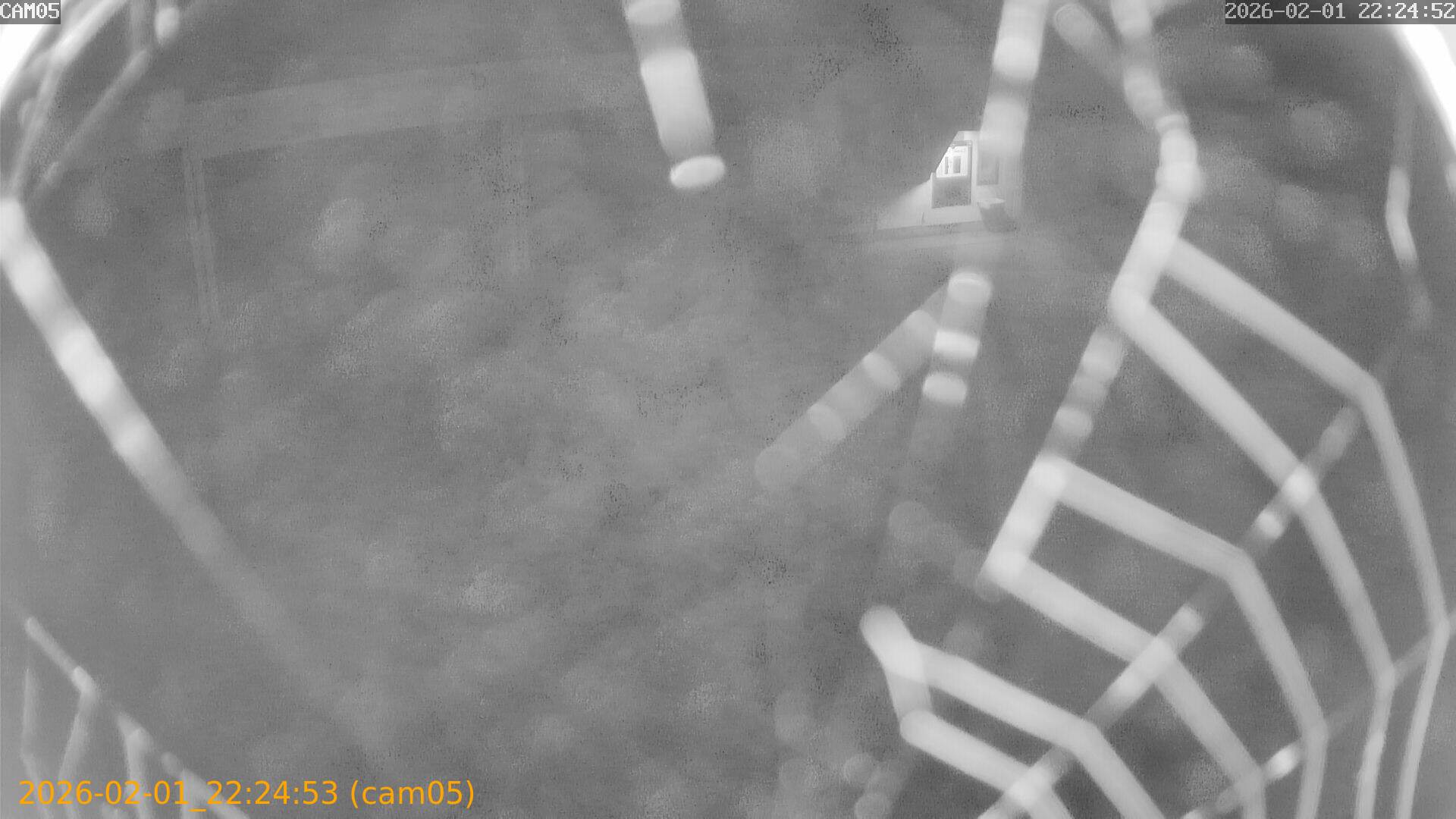 thumbnail_20260201222453